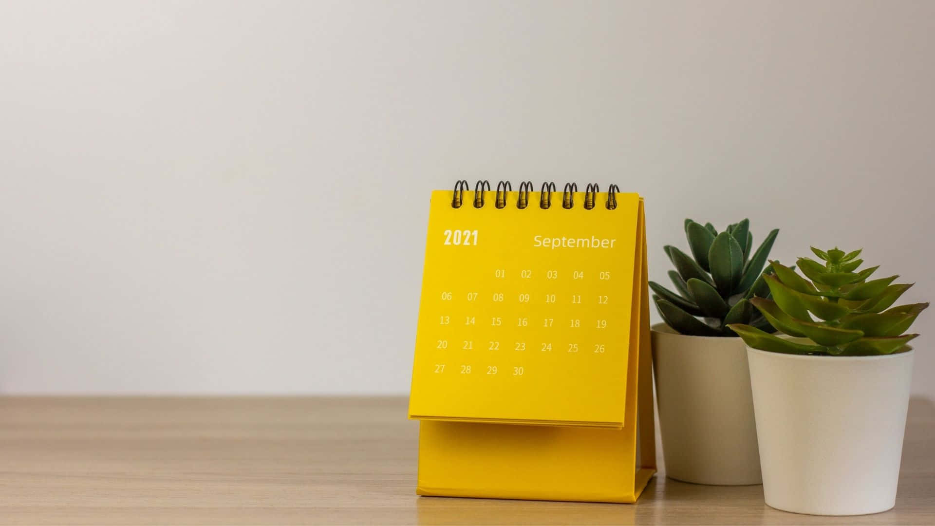 2021 September desk calendar, bright yellow, potted succulents, Full HD Desktop Wallpaper