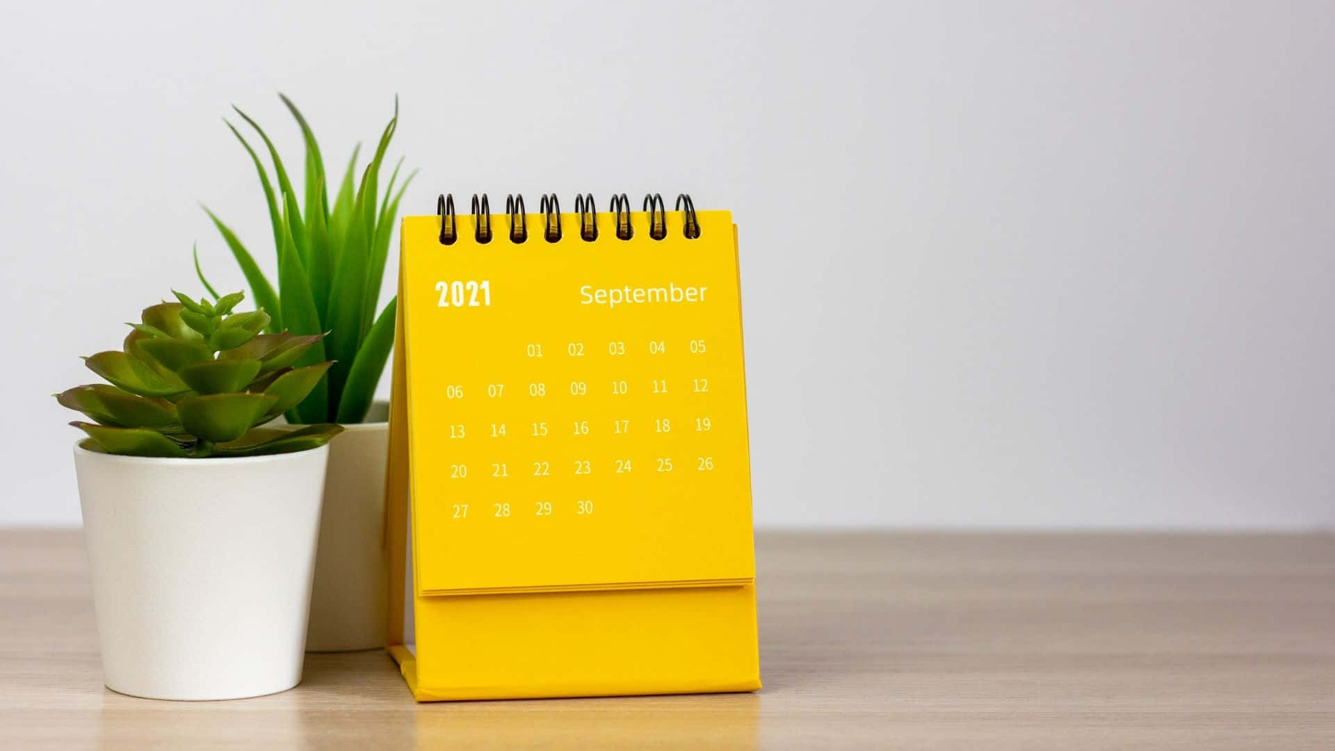 2021 September desk calendar, yellow, succulents, Full HD Desktop Wallpaper