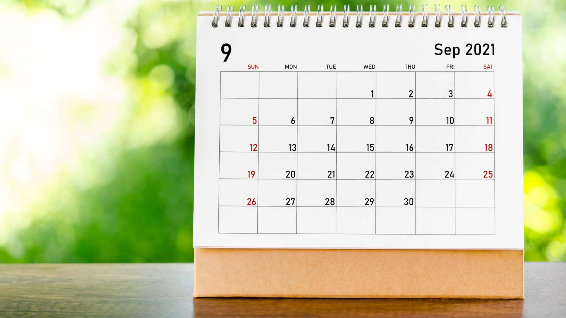 September 2021 Calendar, green background, white desk calendar, Full HD Desktop Wallpaper