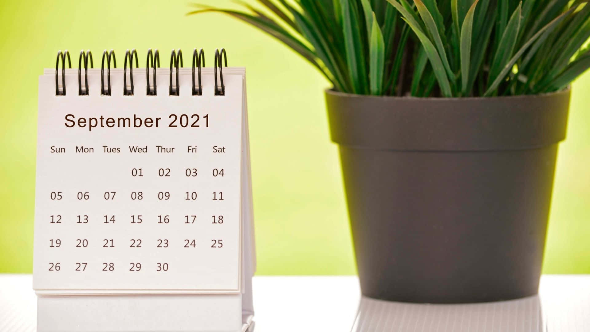 September 2021 desk calendar, spiral-bound, potted green plant, Full HD Desktop Wallpaper