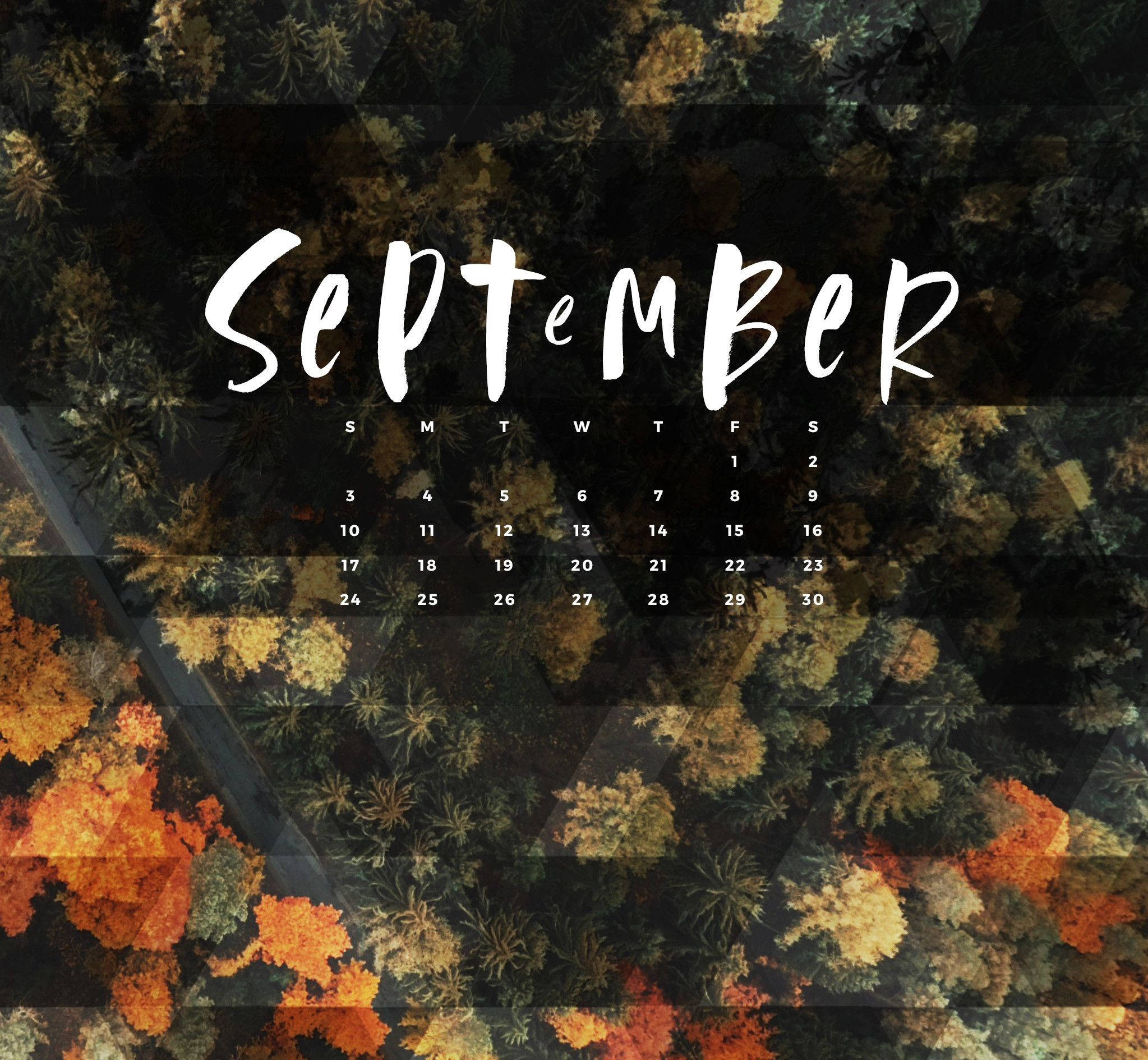 September calendar, autumn forest, vibrant orange and yellow foliage, Full HD Desktop Wallpaper
