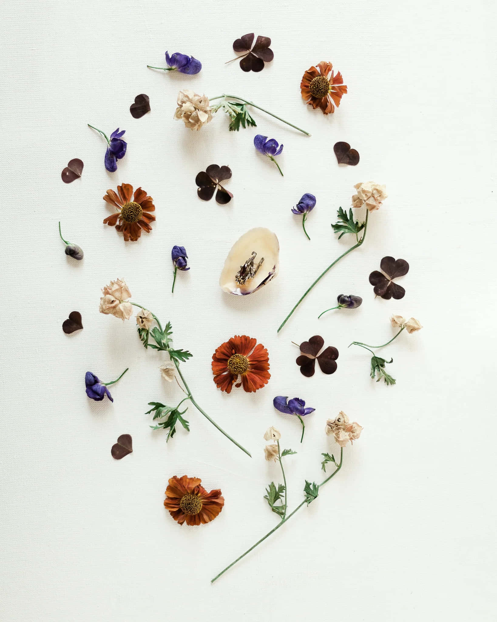 floral composition, September Aesthetic, dried flowers, Full HD Phone Wallpaper