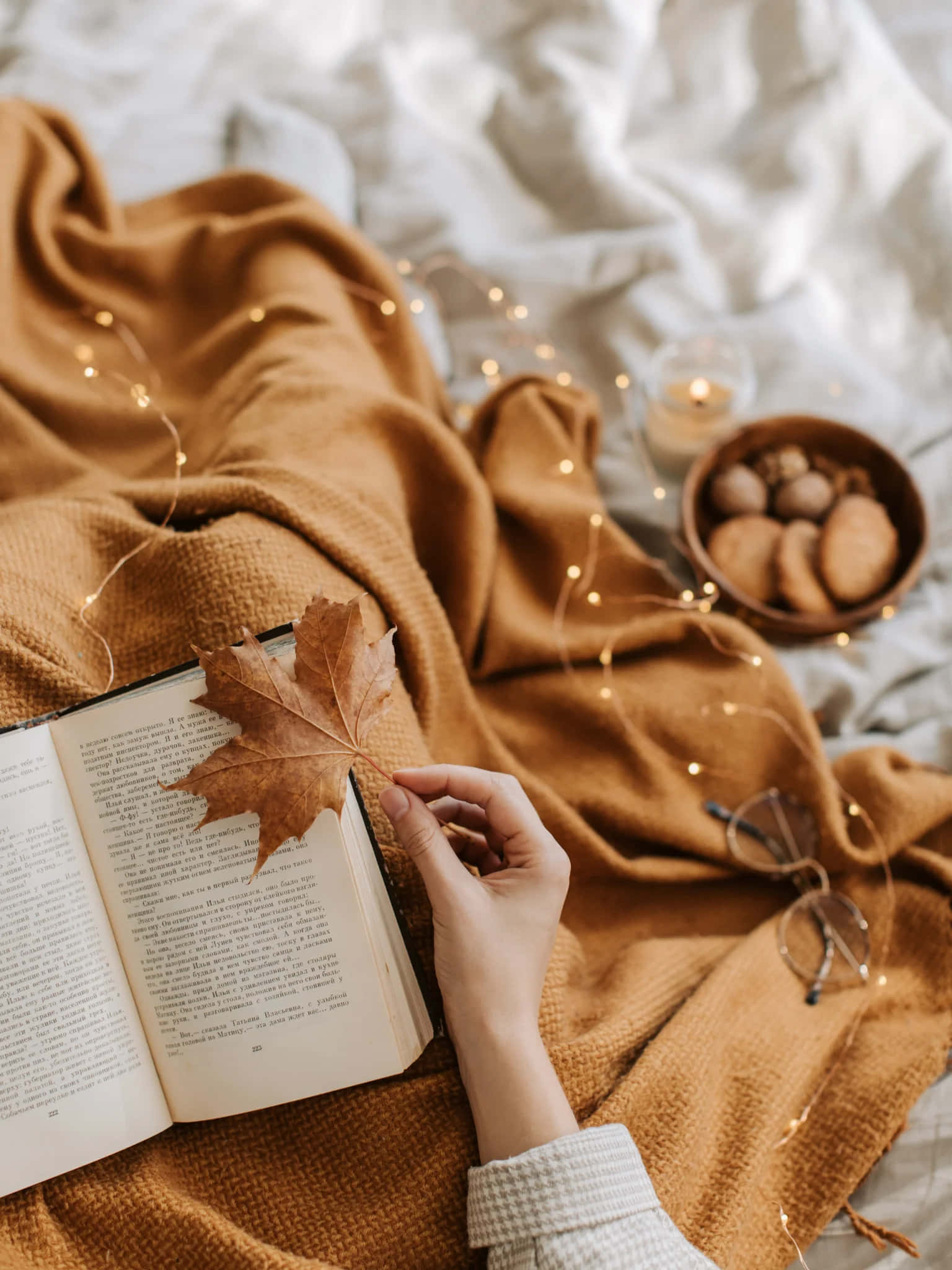 mustard blanket, maple leaf, fairy lights, Full HD Phone Wallpaper