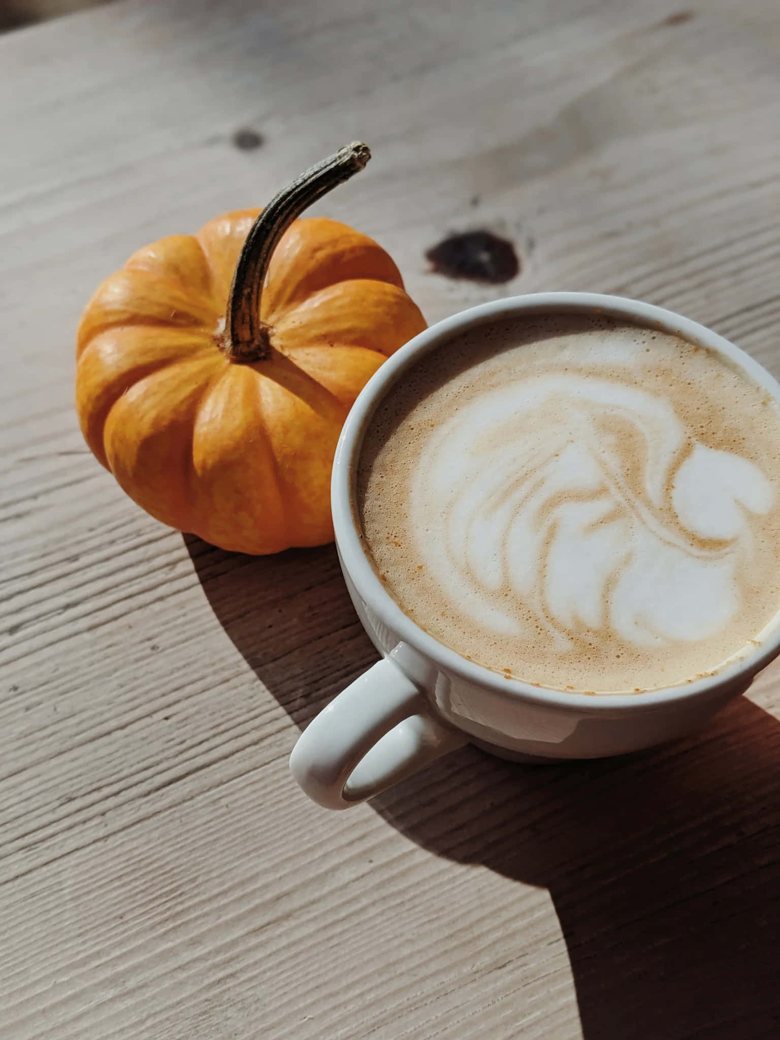 autumn pumpkin latte aesthetic, orange pumpkin, white mug, Full HD Phone Wallpaper