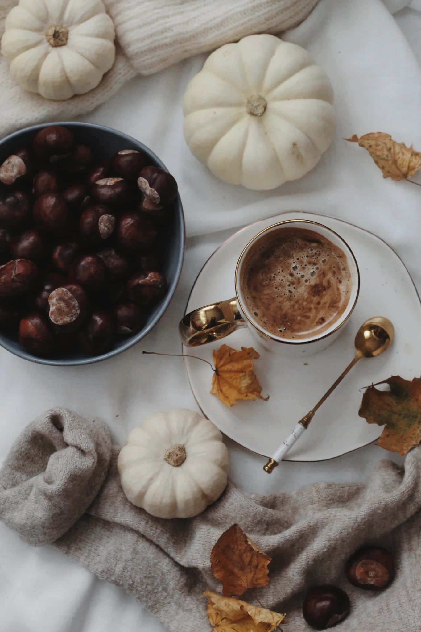 cozy autumn vibes, white pumpkins, chestnuts, Full HD Phone Wallpaper