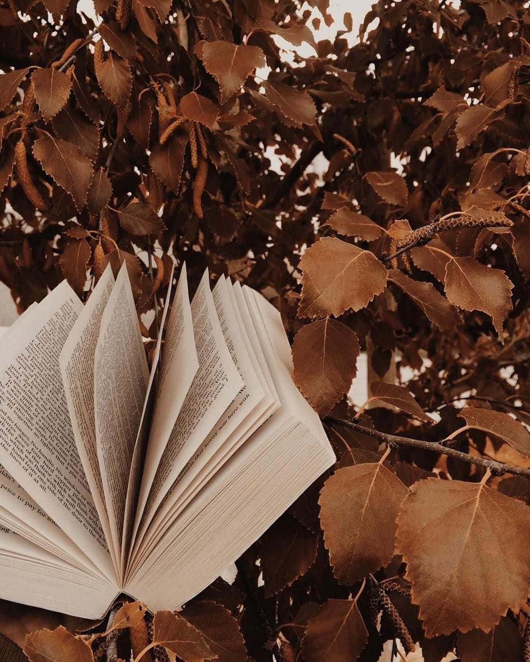 Autumn_ Reading_ Among_ Leaves, open book, brown birch leaves, HD Phone Wallpaper