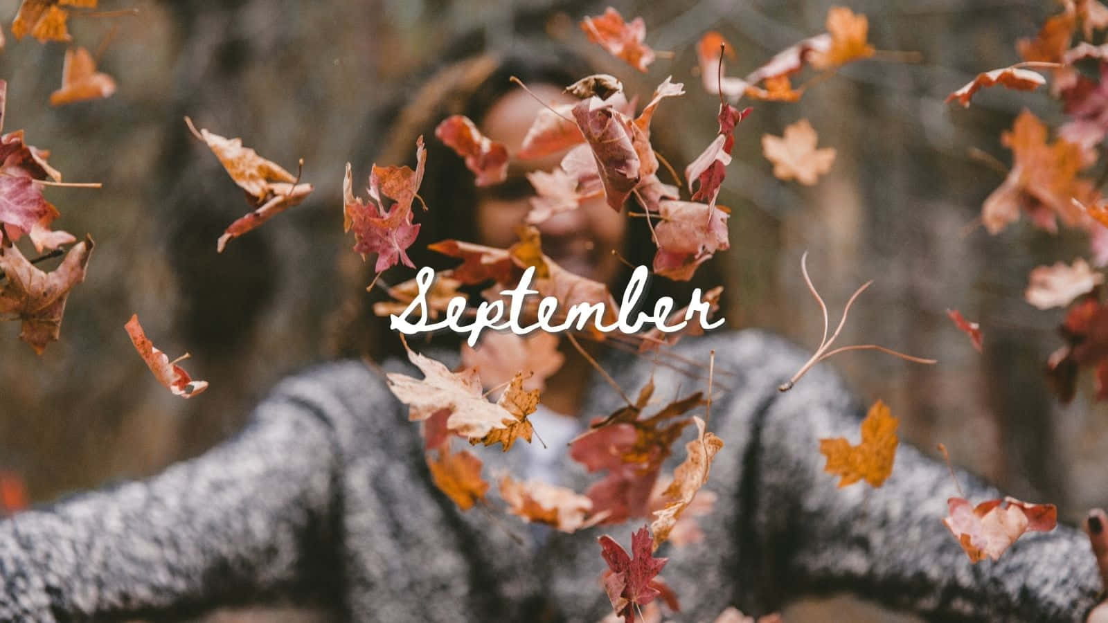 September, red and orange maple leaves, gray sweater, HD Desktop Wallpaper
