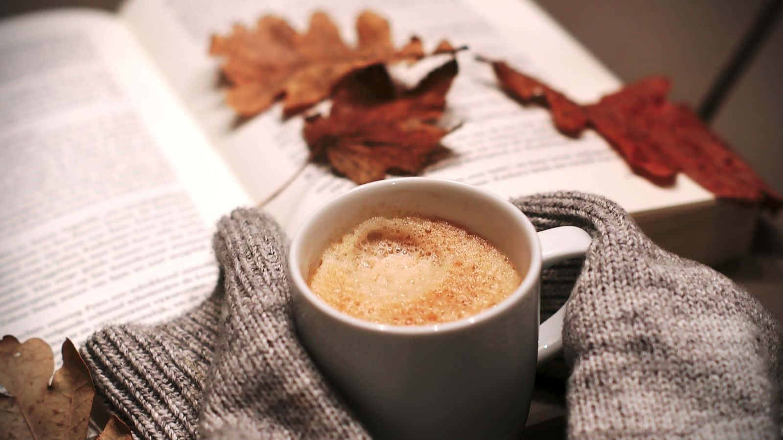 frothy coffee, gray knit sleeve, open book, HD Desktop Wallpaper