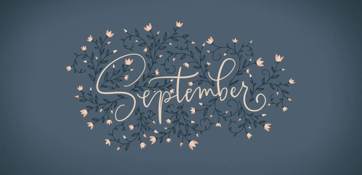 September, white, dark vines, SD Desktop Wallpaper