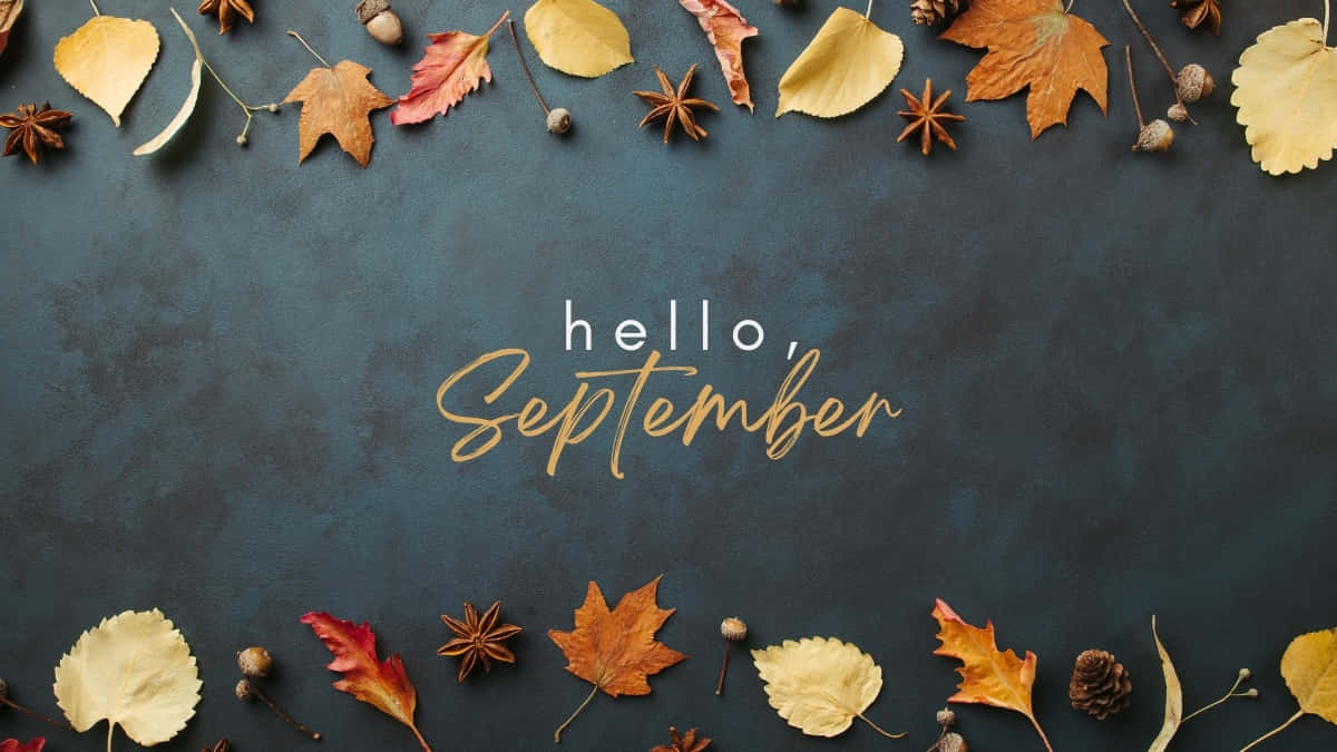 September, autumn leaves, star anise, SD Desktop Wallpaper