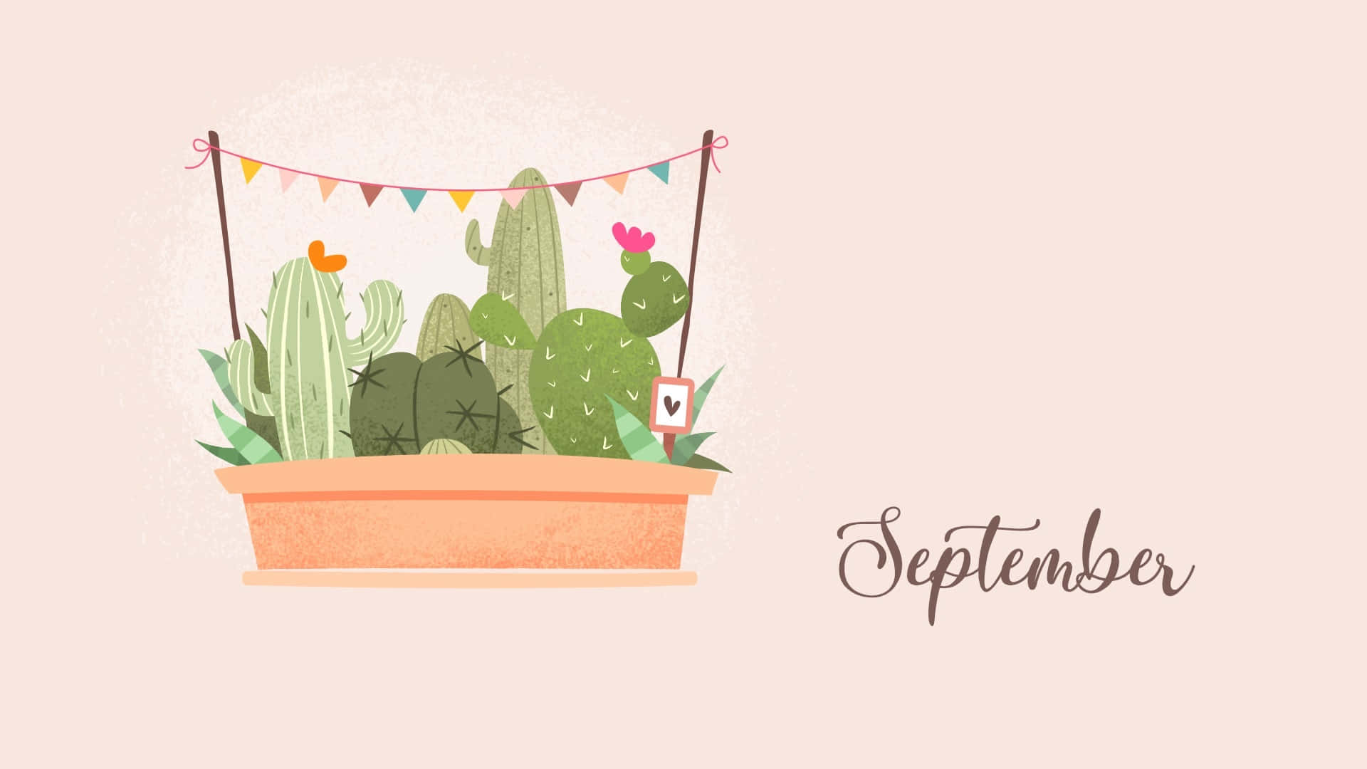 September, cactus, terracotta planter, Full HD Desktop Wallpaper