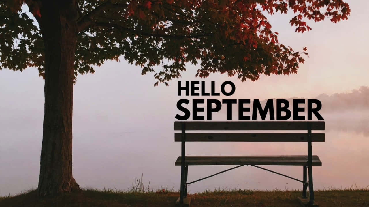 hello september, wooden bench, tree, HD Desktop Wallpaper