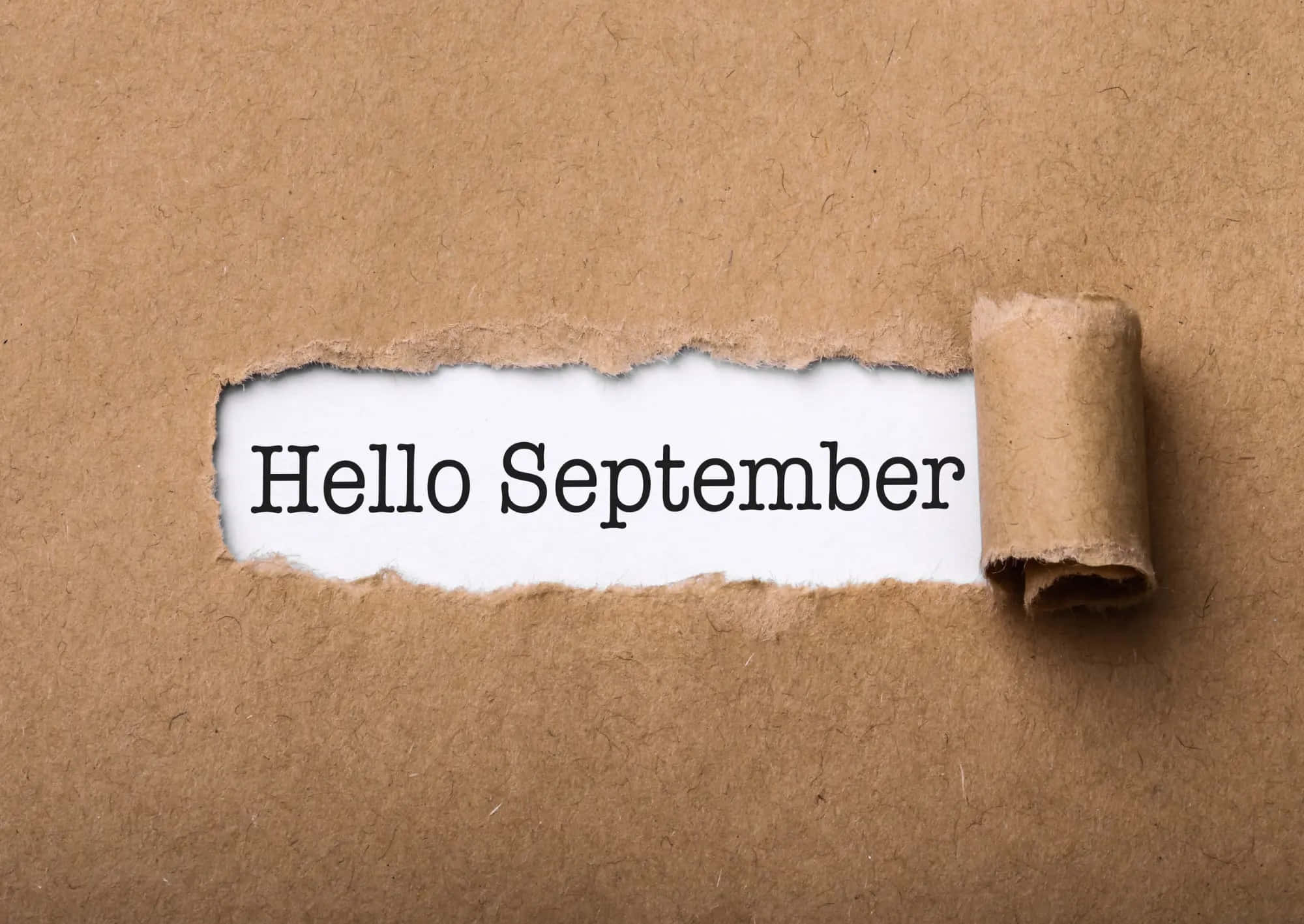 Hello September, torn brown paper, white strip, Full HD Desktop Wallpaper
