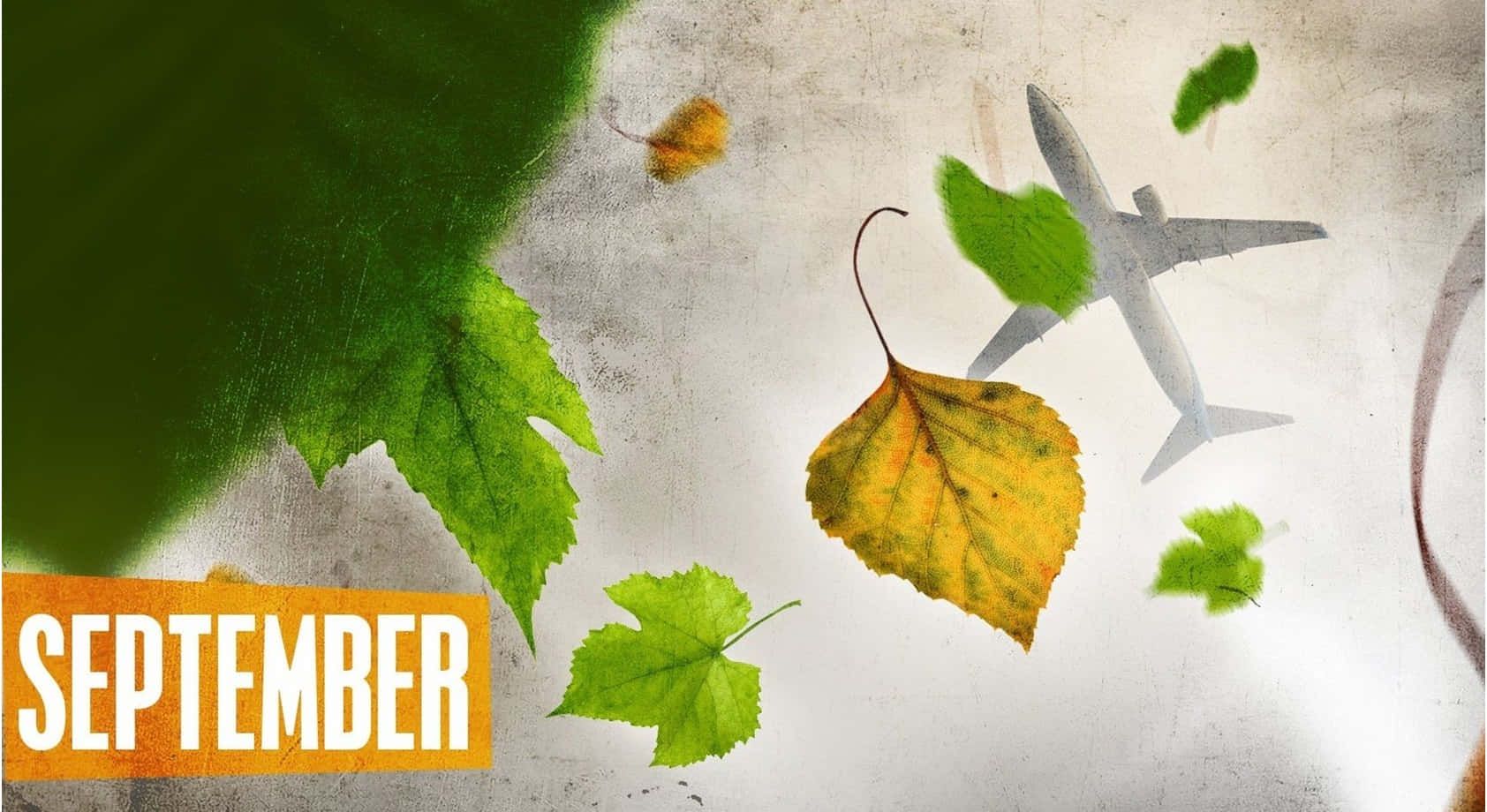 September, autumn leaves, airplane silhouette, HD Desktop Wallpaper