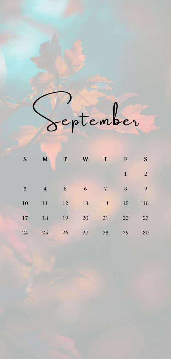 September iPhone, cursive text, pastel autumn leaves, SD Phone Wallpaper