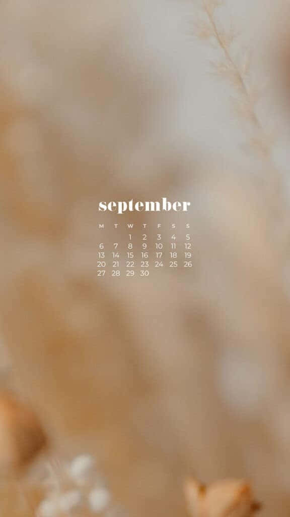 September, white text, soft blurred background, SD Phone Wallpaper
