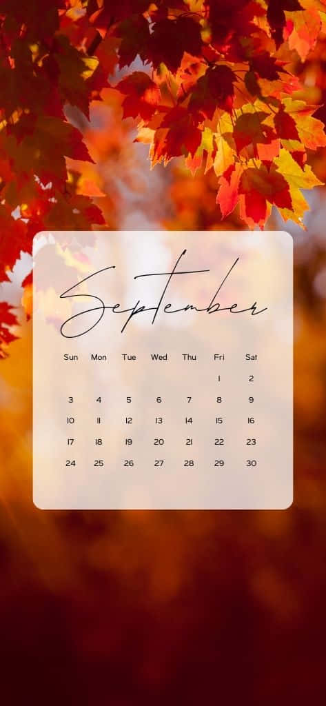 September calendar, fiery red and orange autumn leaves, warm blurred background, SD Phone Wallpaper