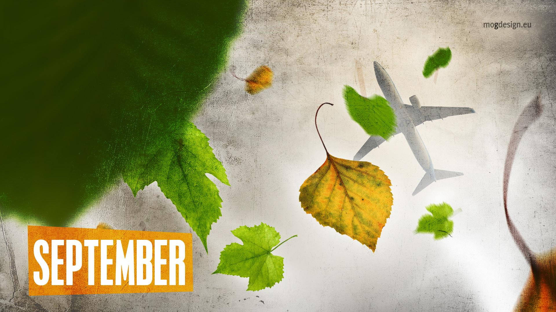 September, autumn leaves, flying airplane, Full HD Desktop Wallpaper