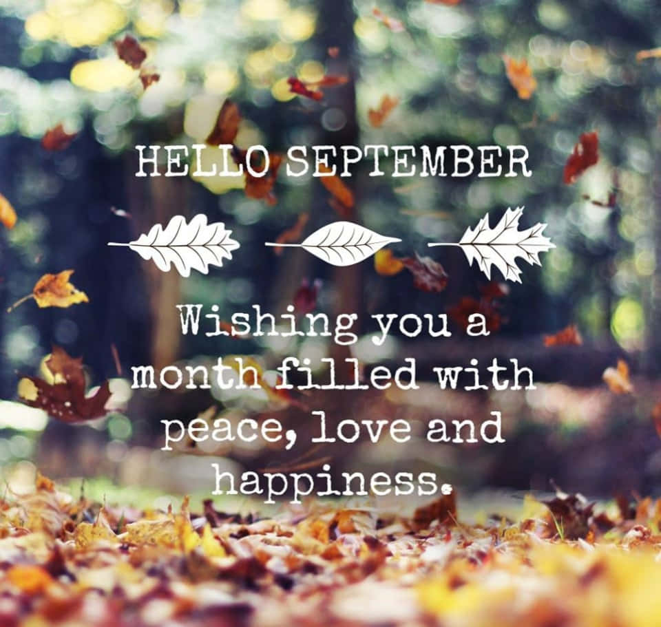 September, autumn leaves, forest floor, SD Desktop Wallpaper