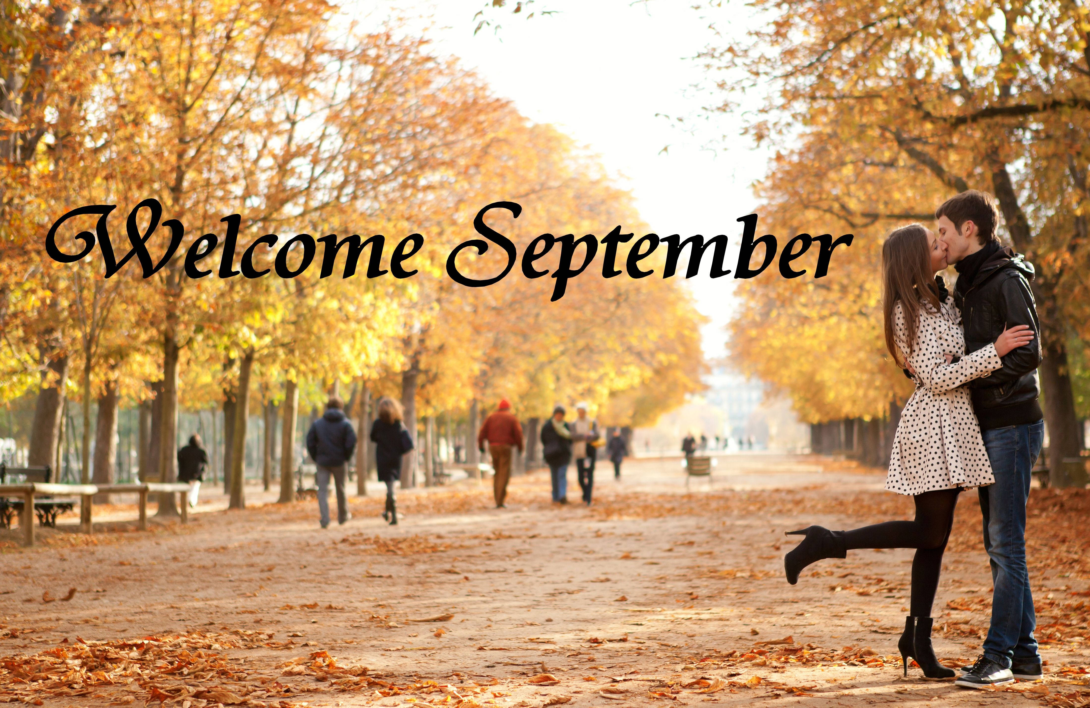 September, golden autumn trees, fallen leaves, 4K Desktop Wallpaper