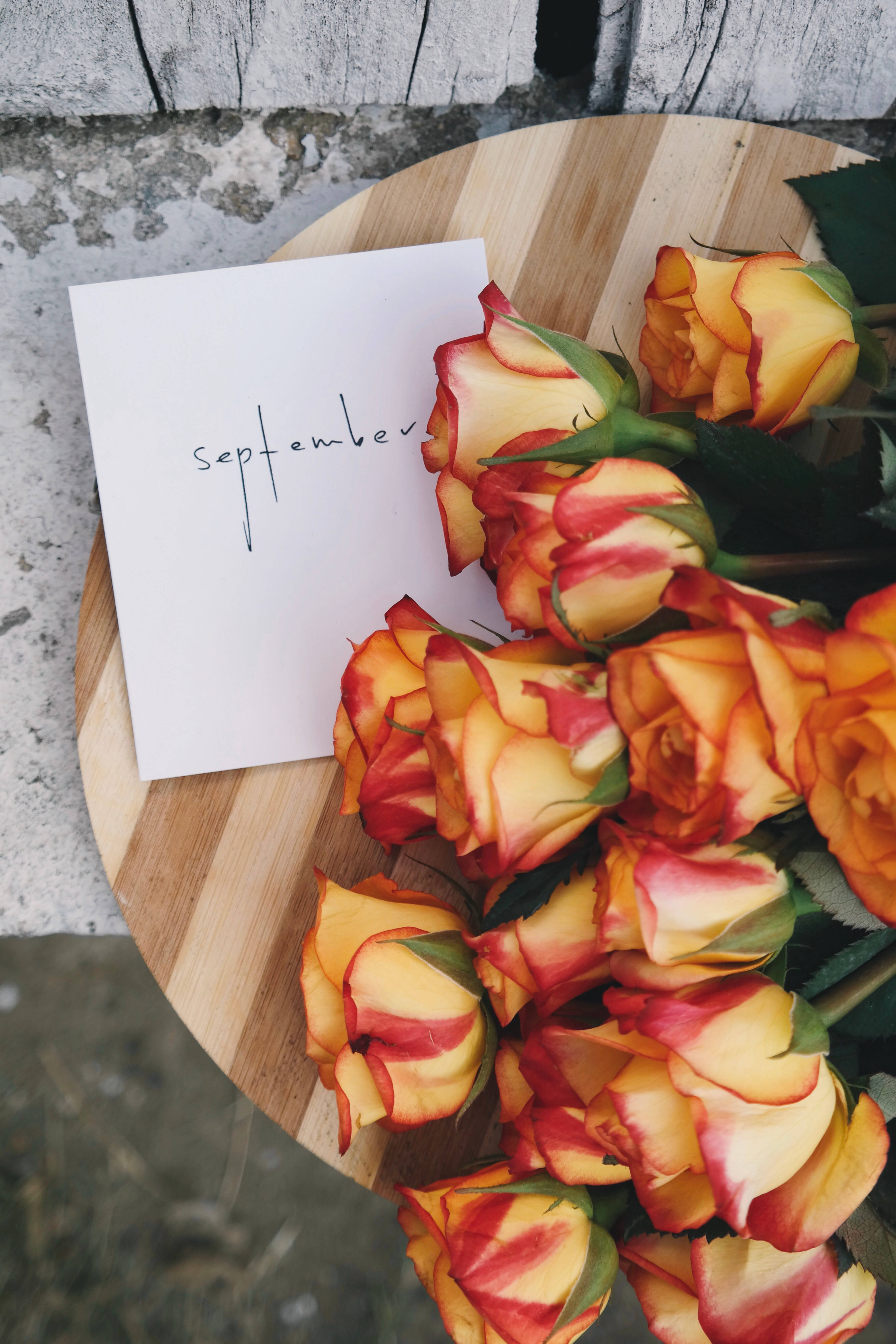 september, orange roses, red roses, 5K Phone Wallpaper