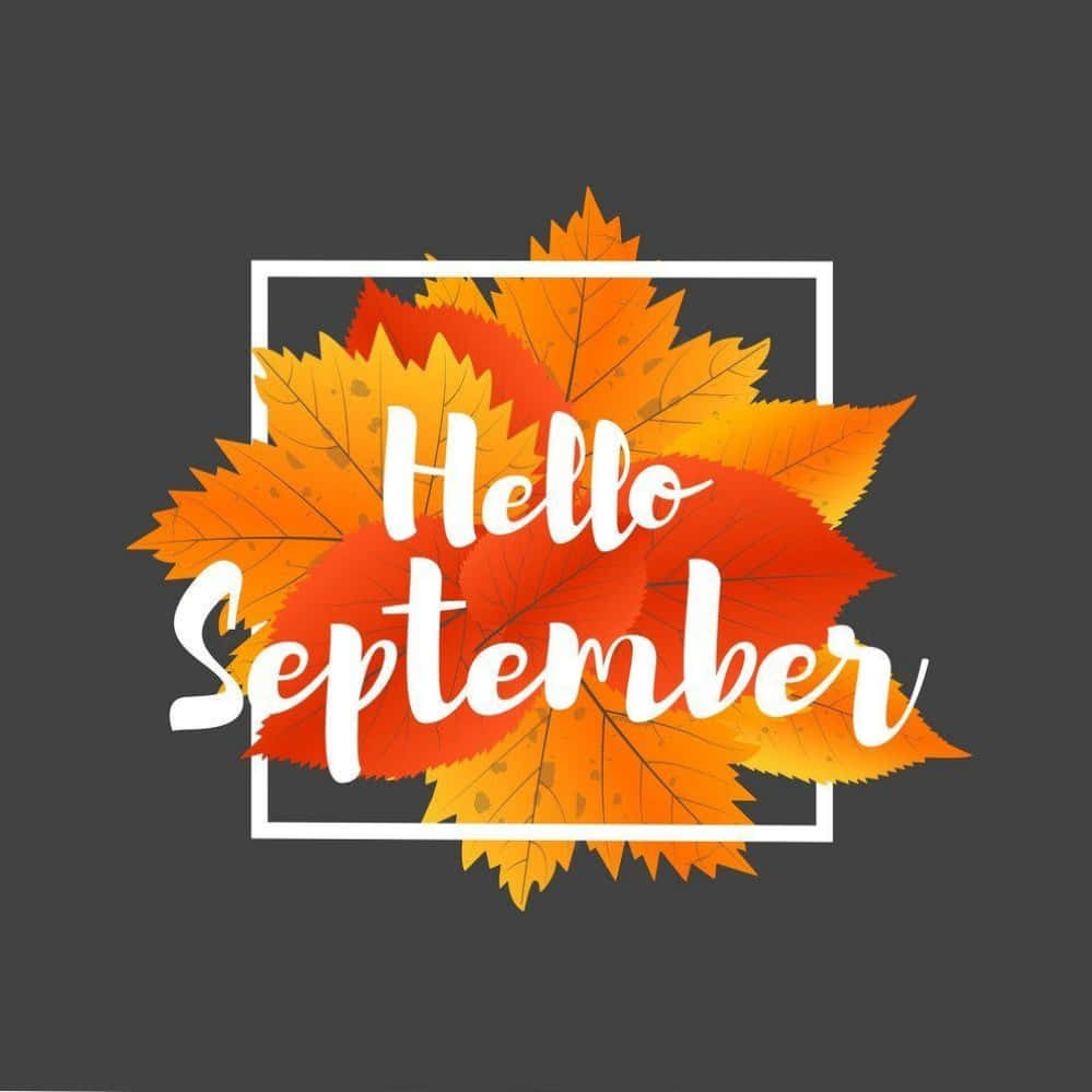 Hello September, autumn leaves, orange, SD Desktop Wallpaper