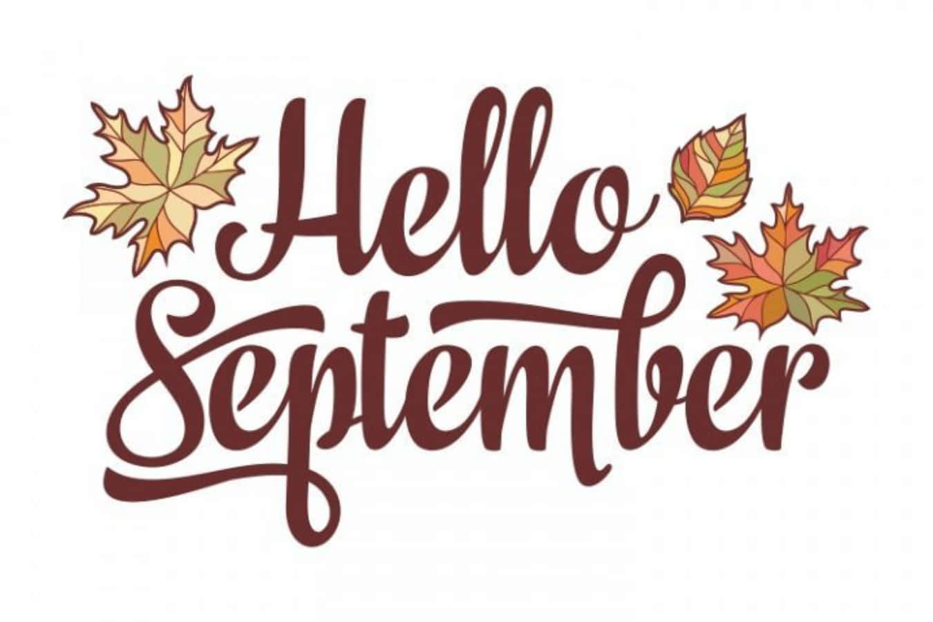 Hello September, autumn maple leaves, cursive text, HD Desktop Wallpaper