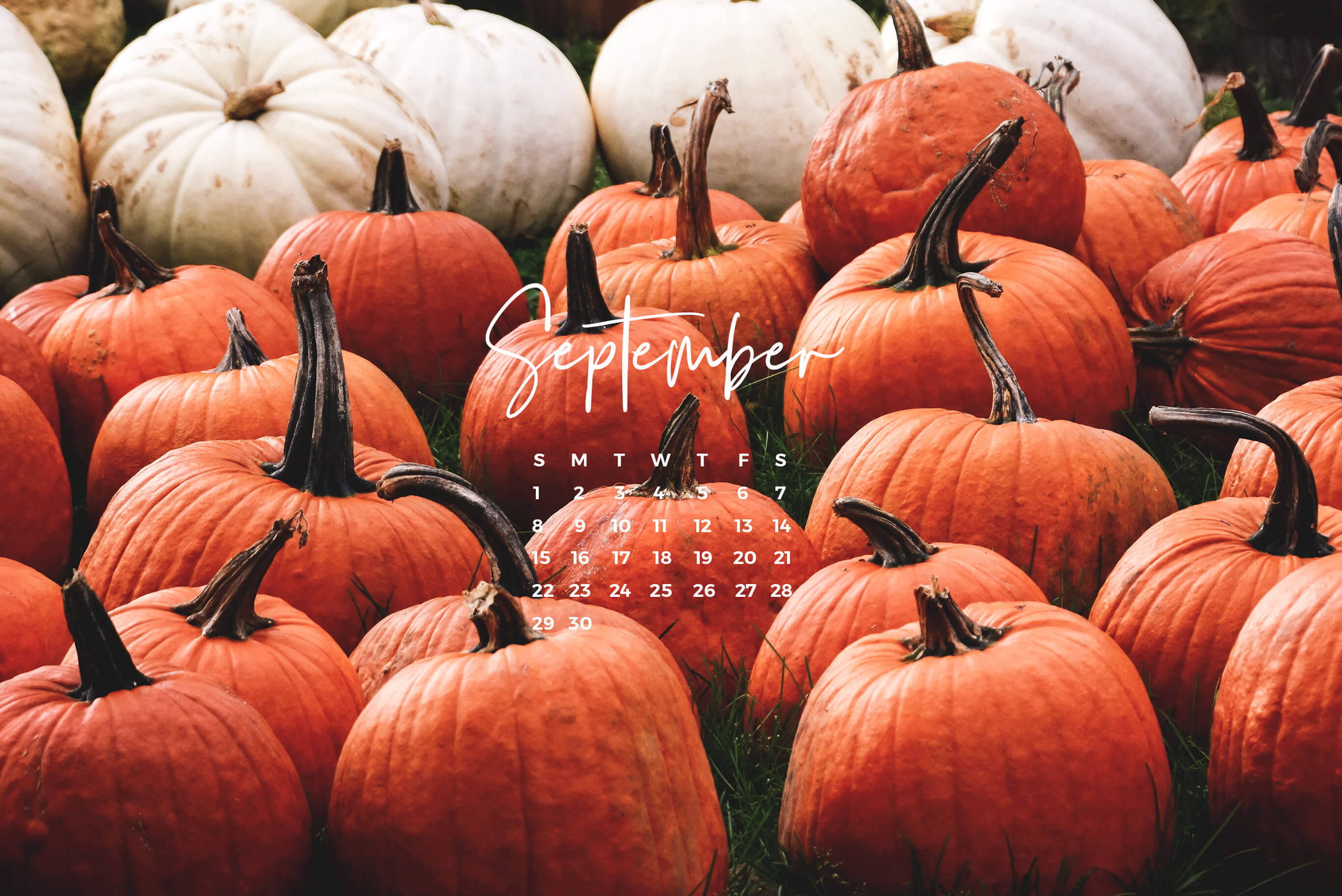 pumpkins, autumn, orange, 2K Desktop Wallpaper