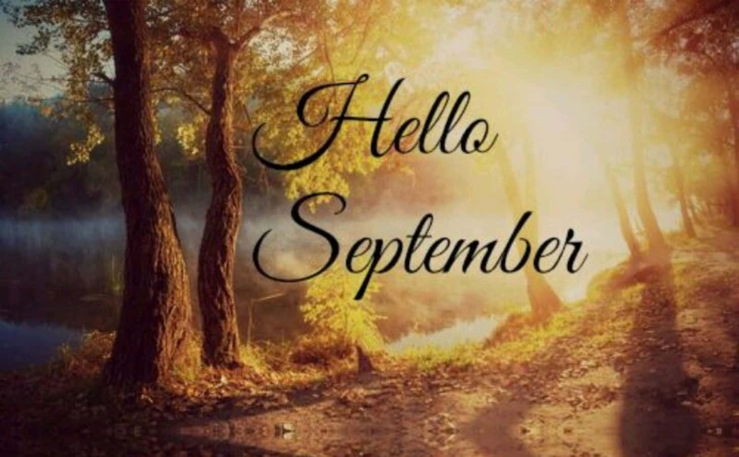 Hello September, autumn trees, misty lake, HD Desktop Wallpaper