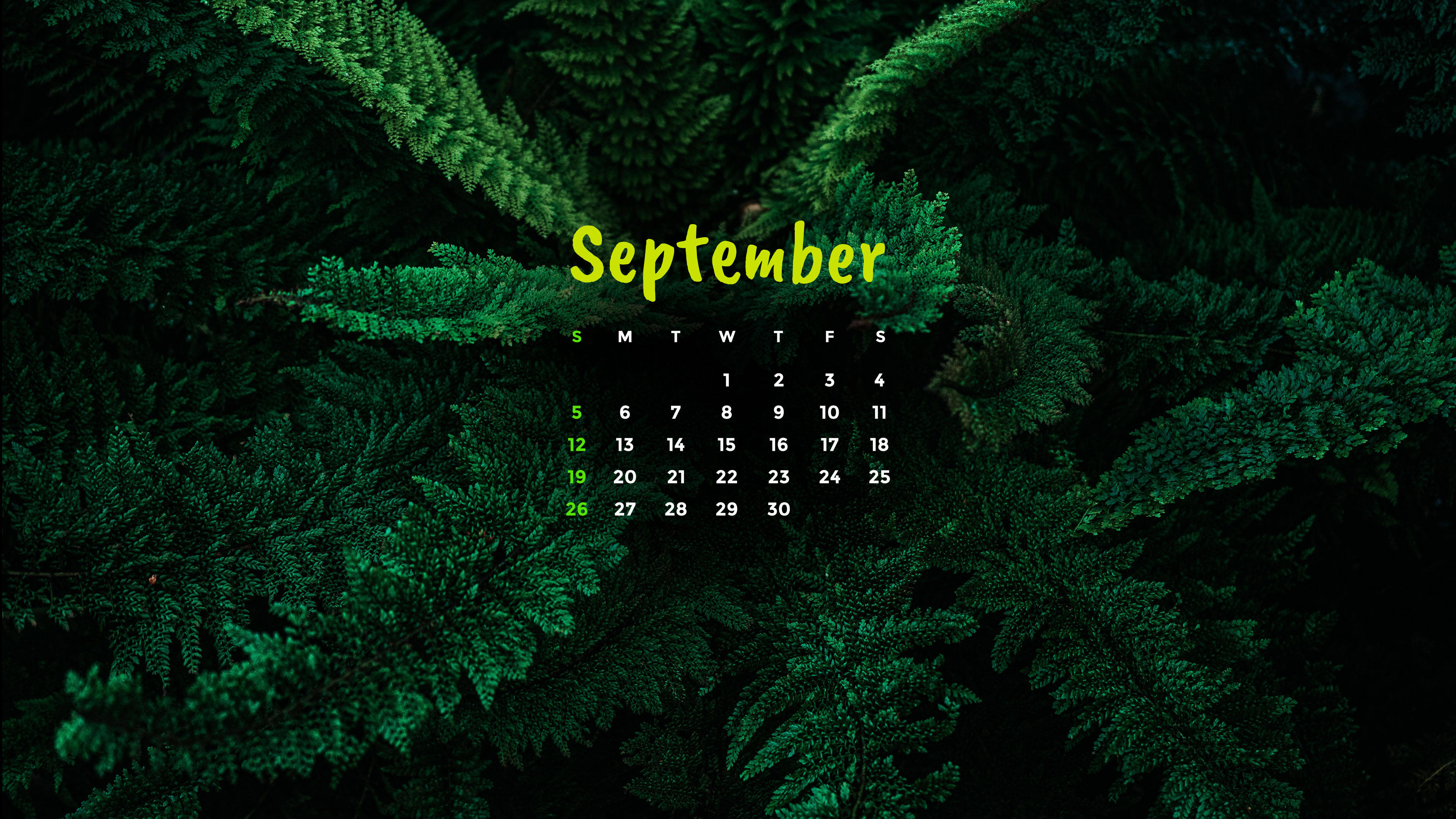 September 2021 Calendar, bright yellow text, dark green pine needle background, 4K Desktop Wallpaper