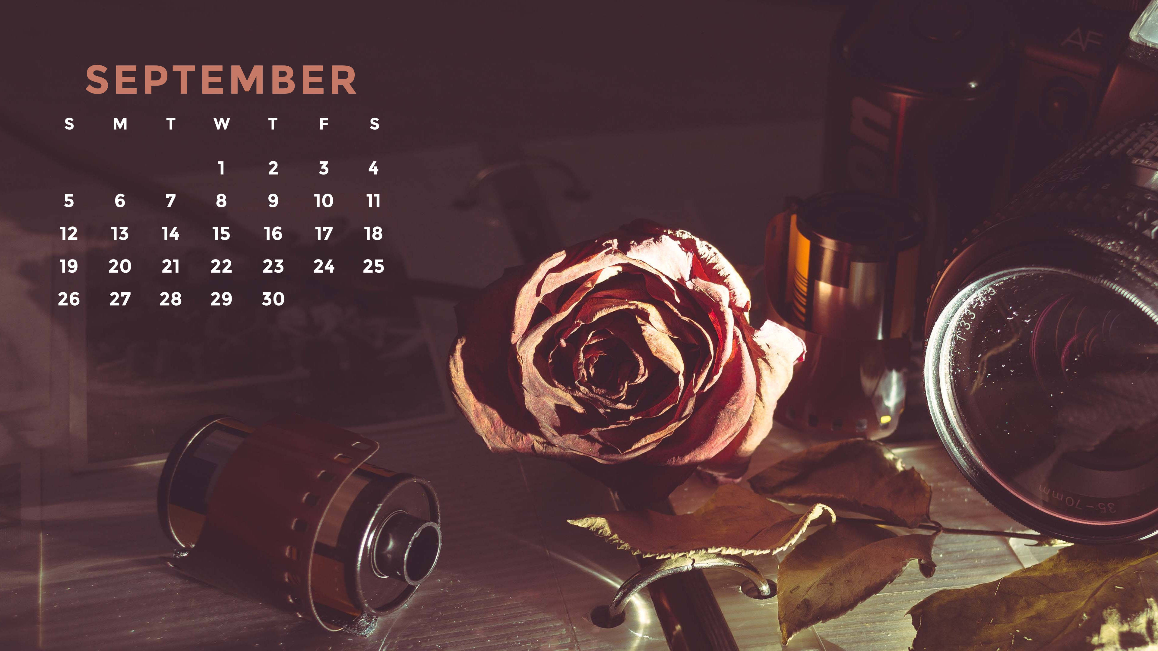 September 2021 Vintage Calendar, vintage September calendar, dried rose, 4K Desktop Wallpaper