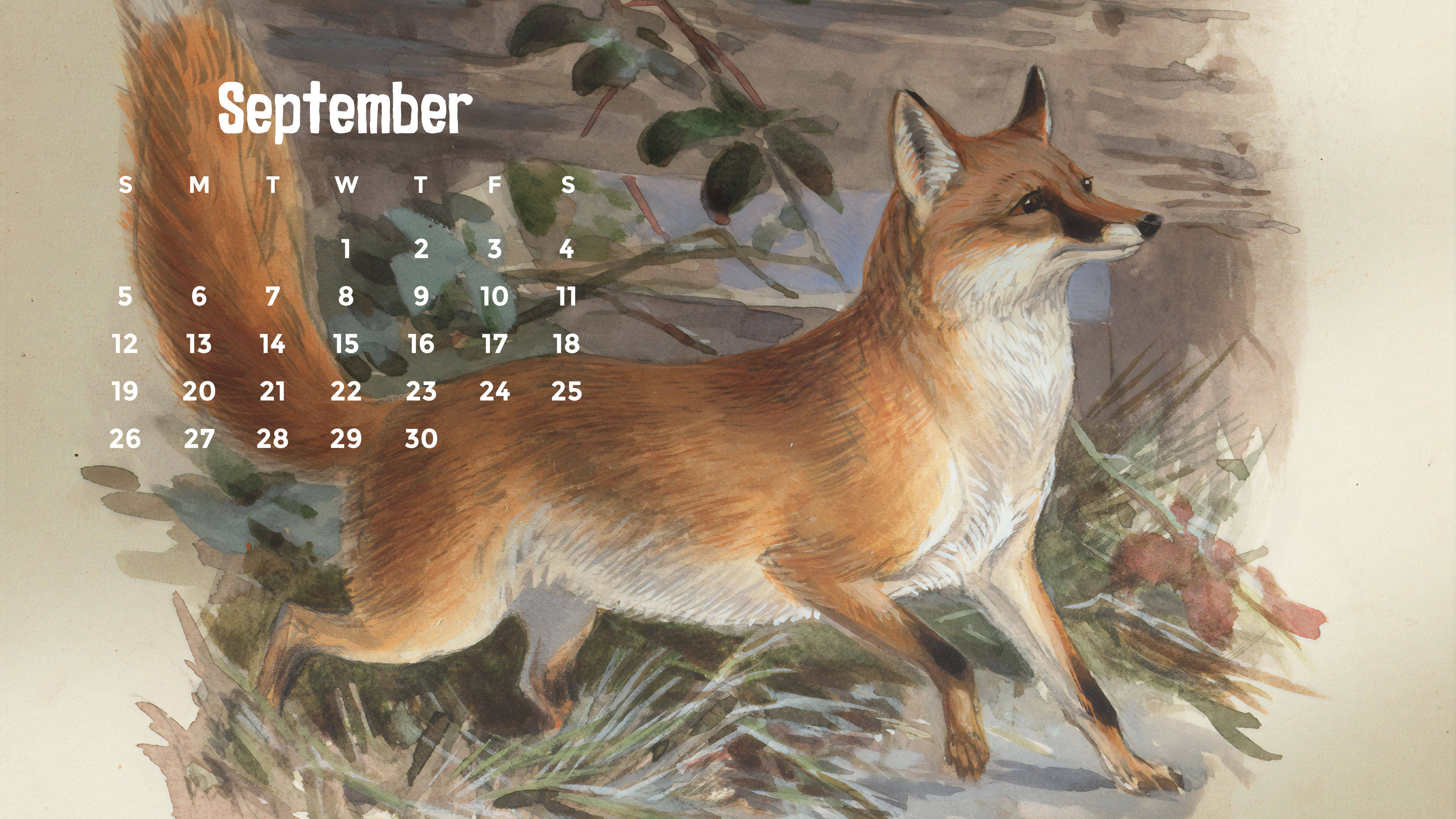 September 2021 Fox Calendar, red fox, autumn foliage, 4K Desktop Wallpaper