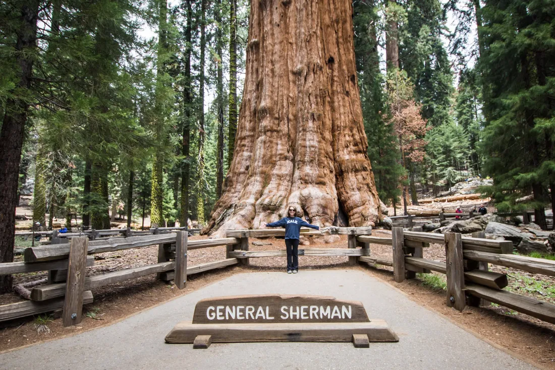Sequoia National Park Wallpapers