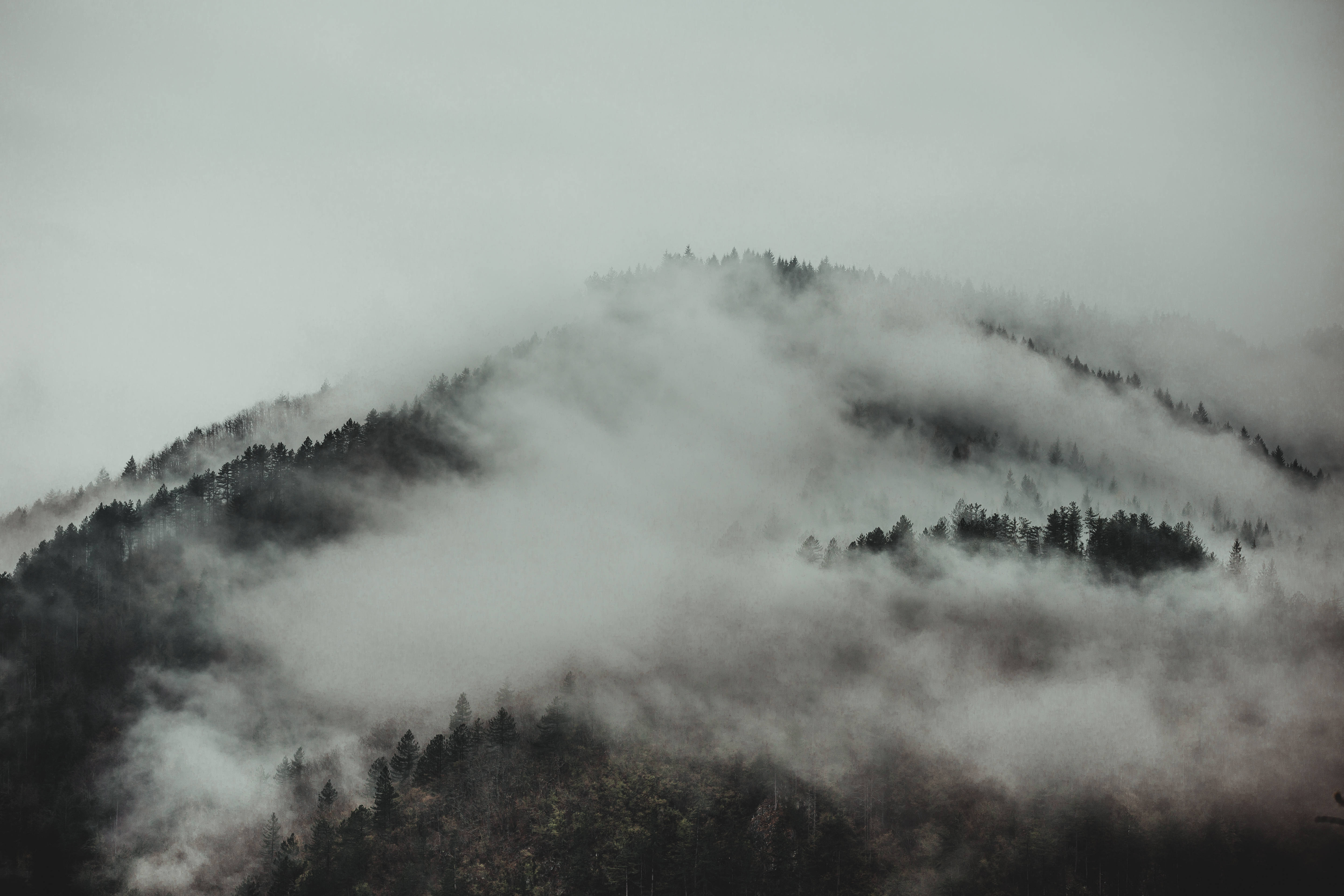 Serbia, foggy Tara Mountain, misty forested mountains, 5K Desktop Wallpaper