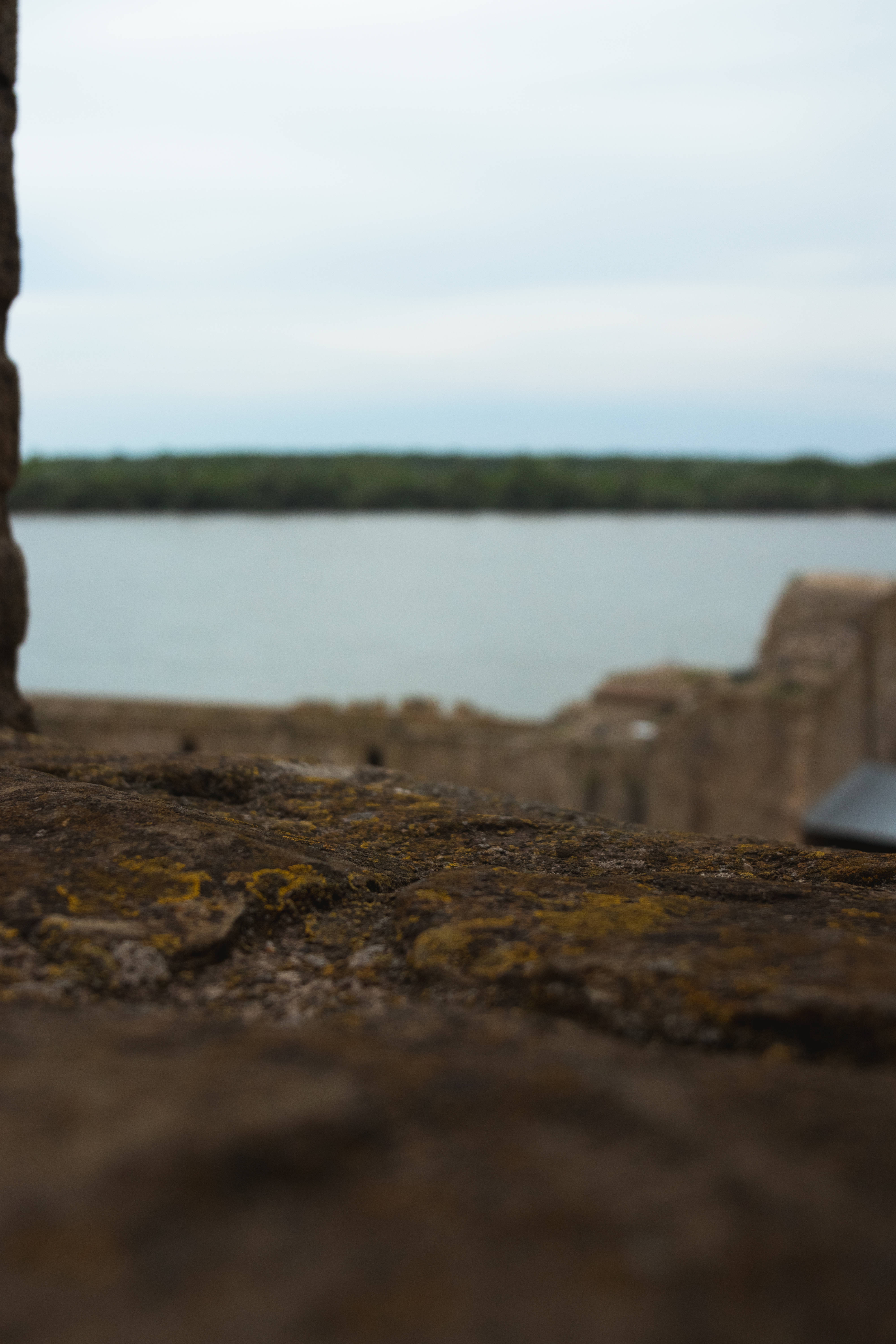 Serbia, medieval castle, yellow lichen, 5K Phone Wallpaper