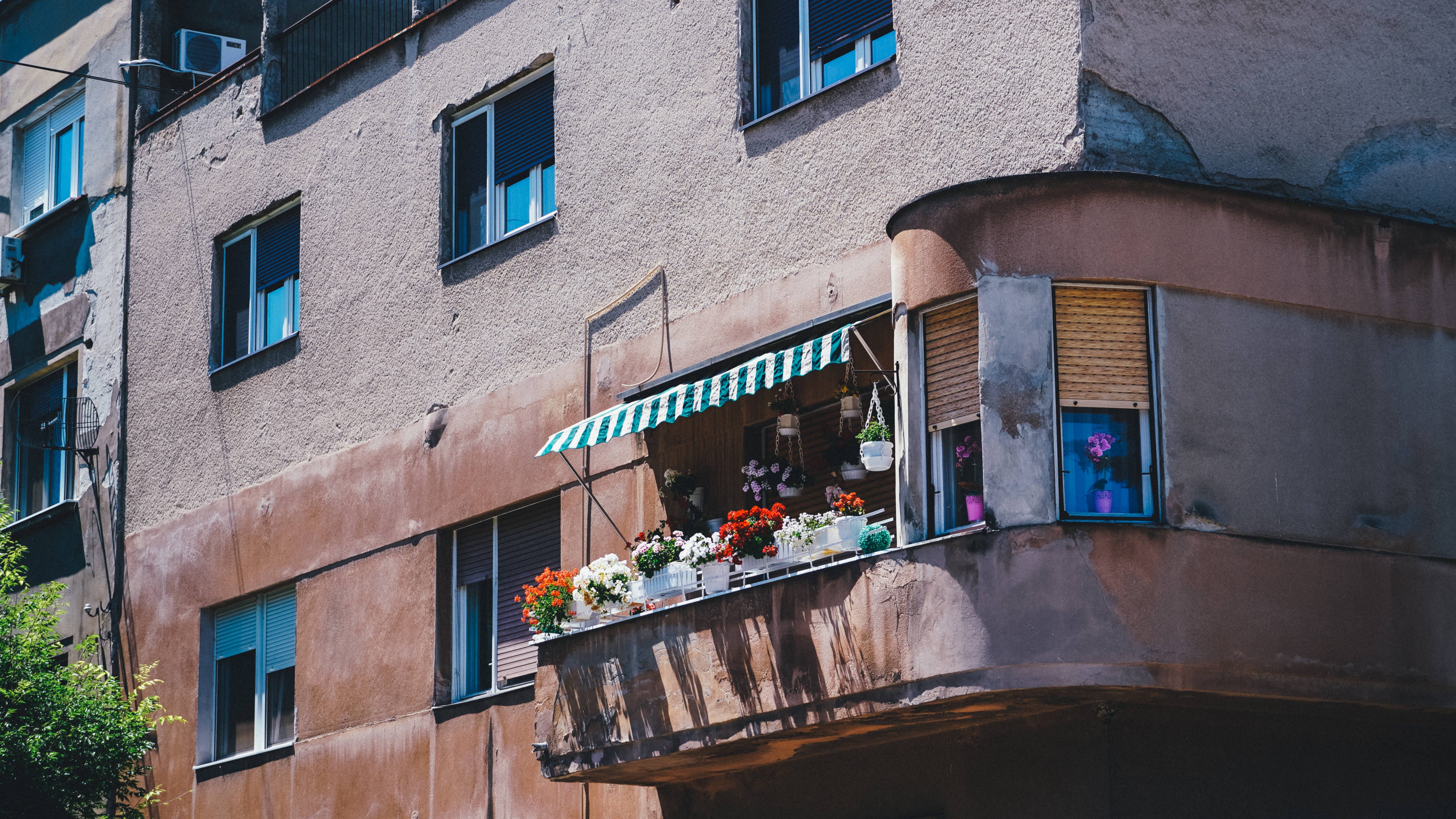 Serbia, garden, apartment building, 5K Desktop Wallpaper