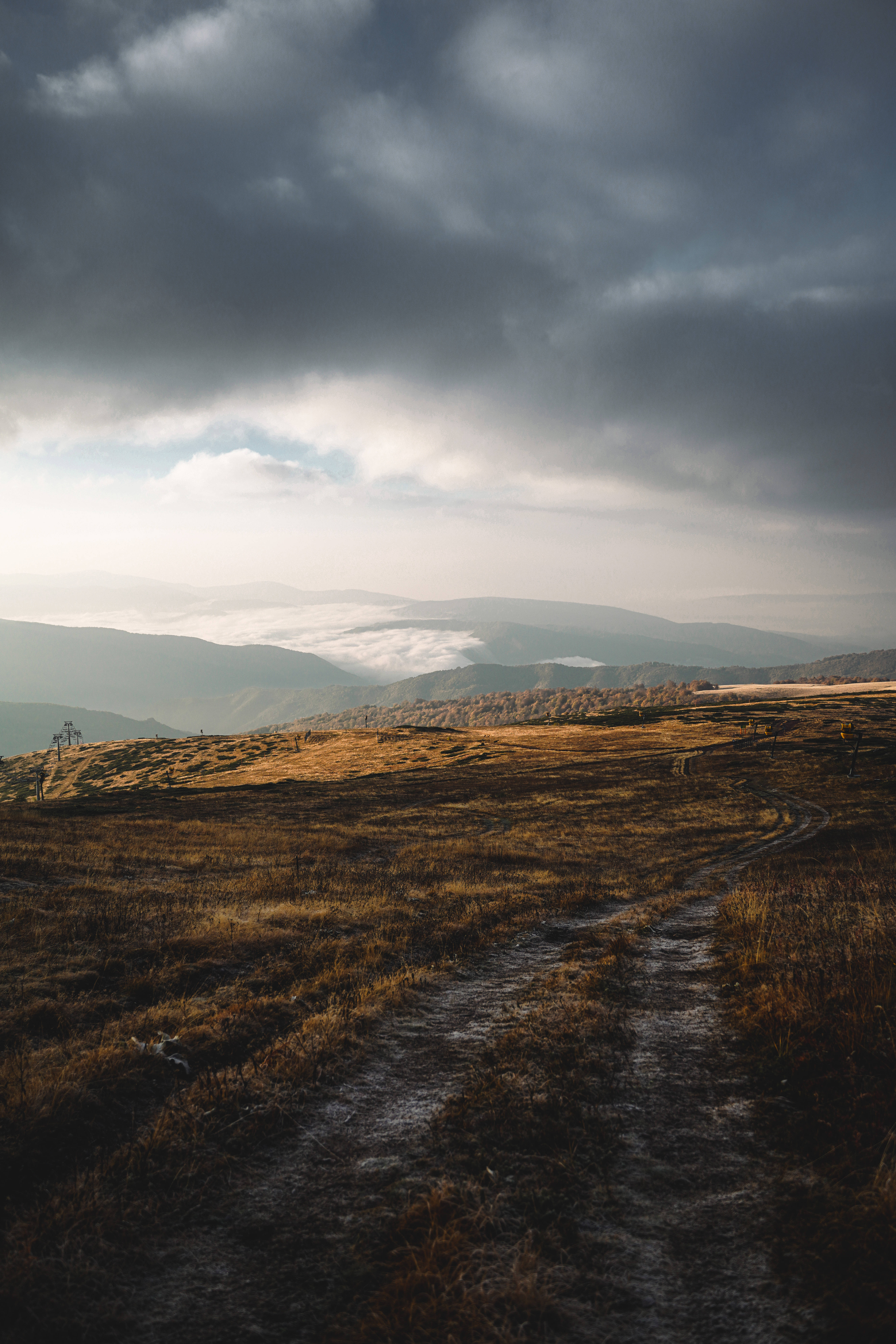 Serbia, cloudy sky, golden grass, 8K Phone Wallpaper