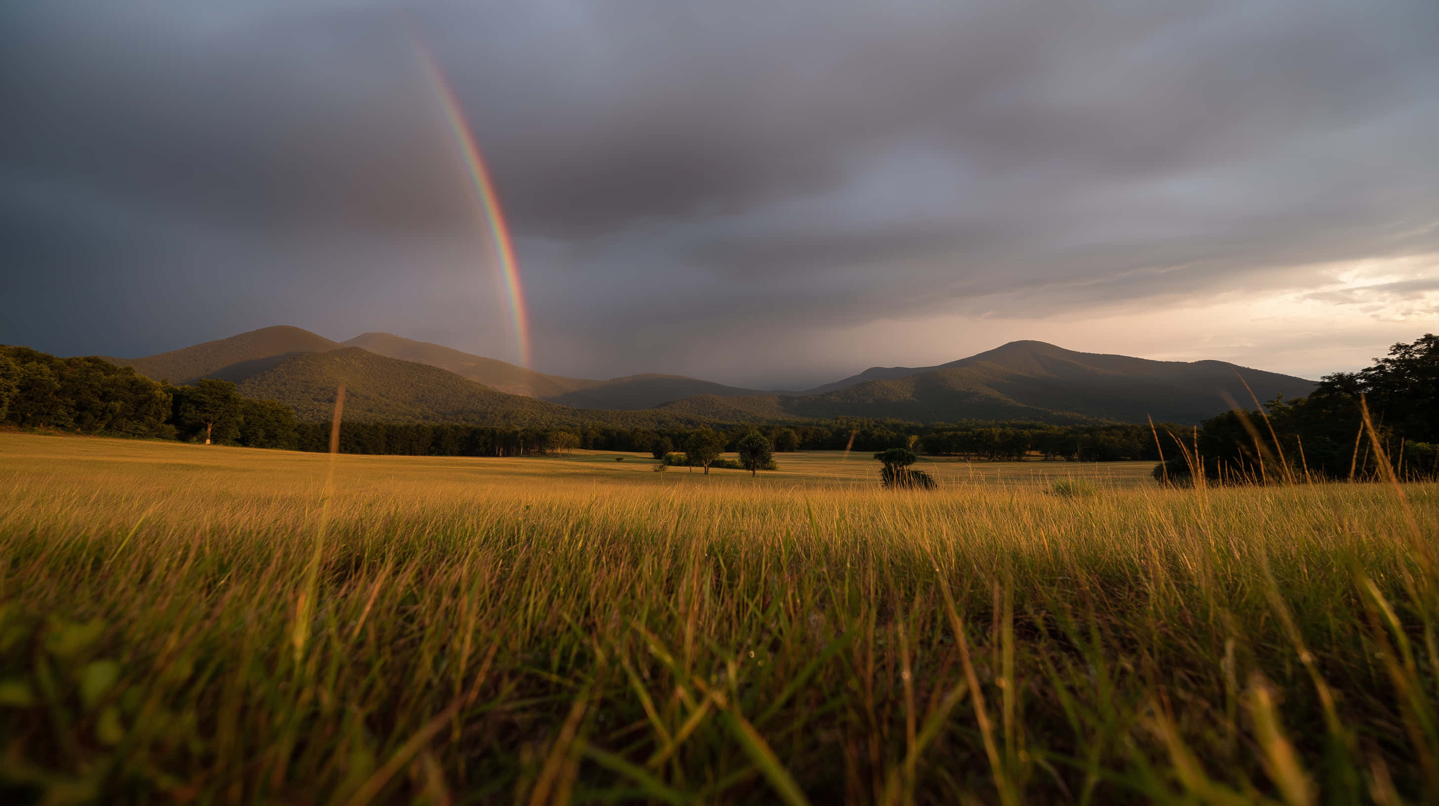 vibrant rainbow, lush meadow, golden grassy field, 2K Desktop Wallpaper