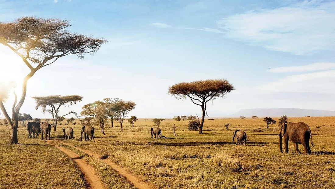 Serengeti National Park