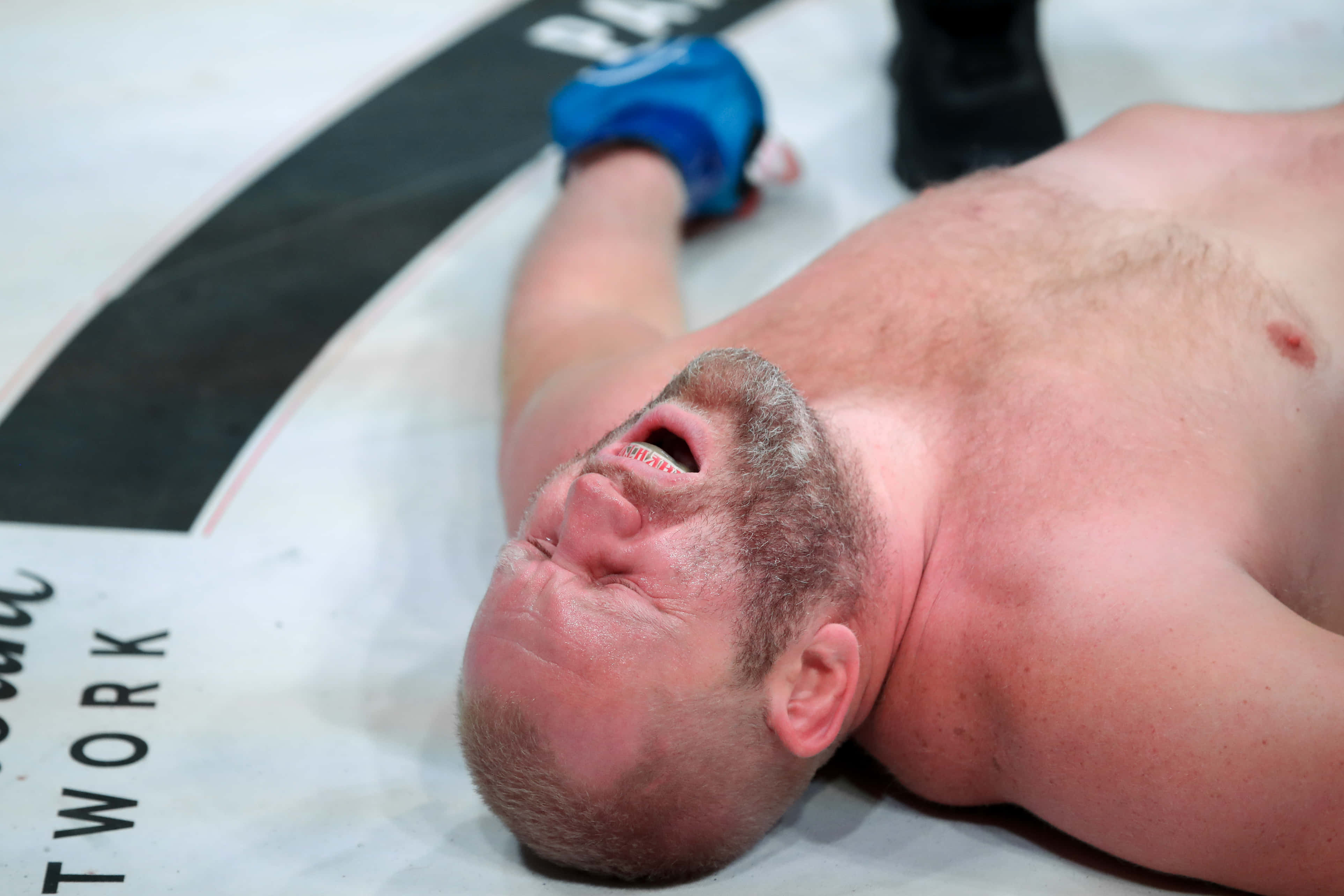Sergei Kharitonov, MMA Fighter, blue gloves, 4K Desktop Wallpaper