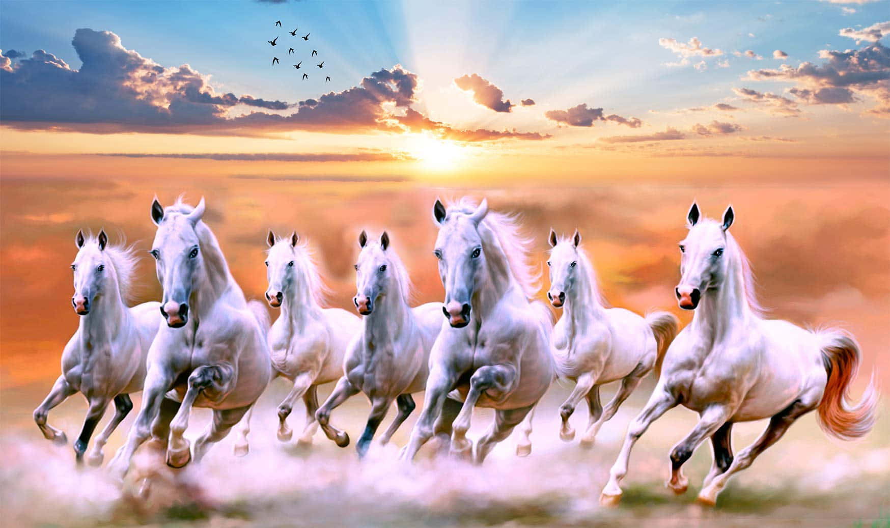 Seven White Horses, sunset, misty field, HD Desktop Wallpaper