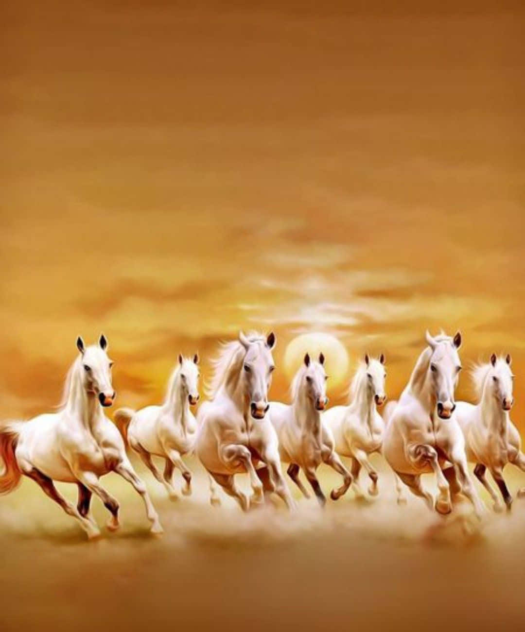 Seven White Horses, golden desert, glowing sun, HD Phone Wallpaper