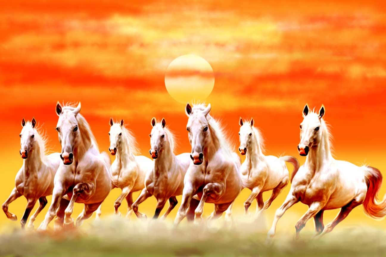 Seven Horses, sunset, fiery orange sunset, HD Desktop Wallpaper