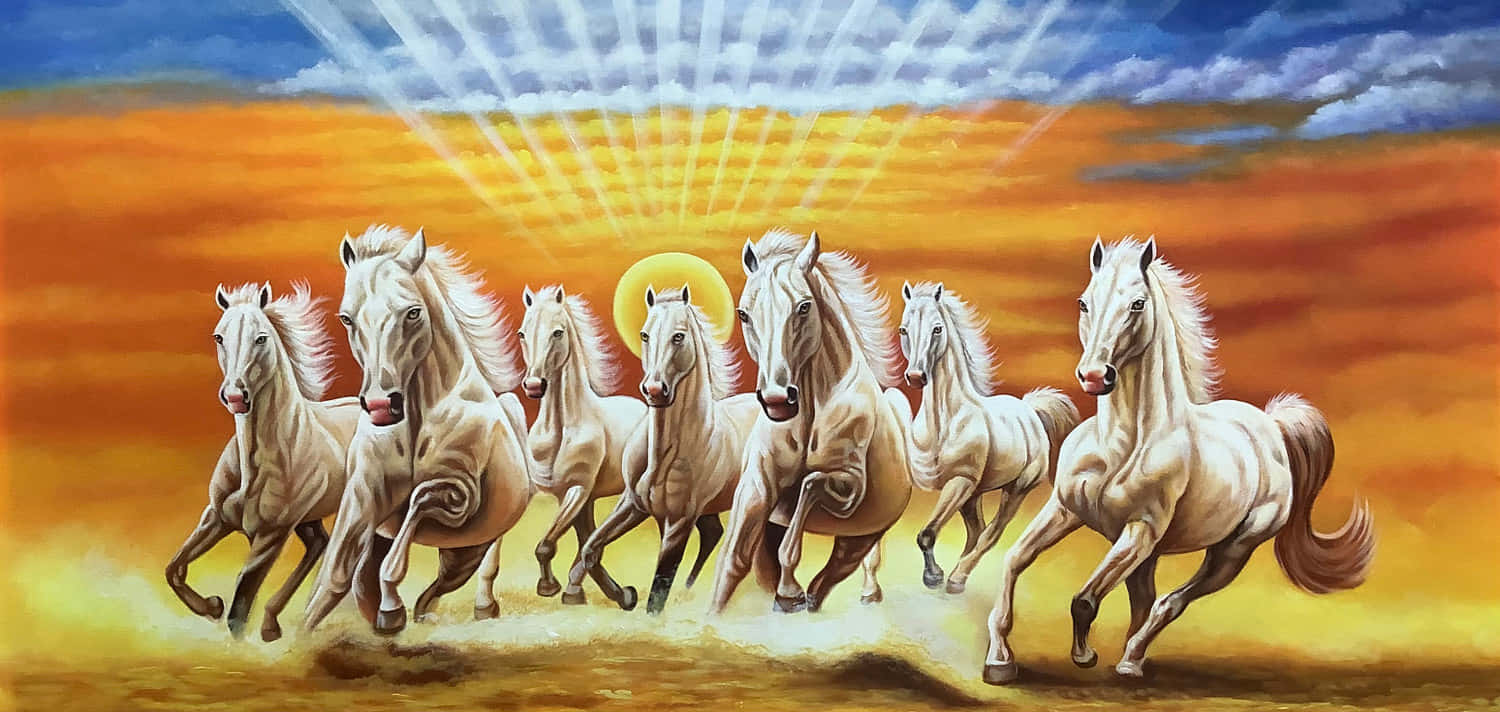 Seven Horses, sunset, galloping, HD Desktop Wallpaper