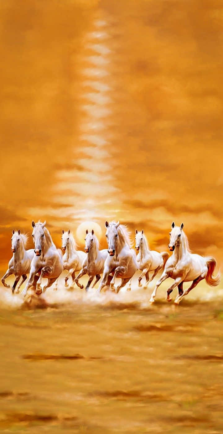 seven white horses, golden field, radiant sun, HD Phone Wallpaper