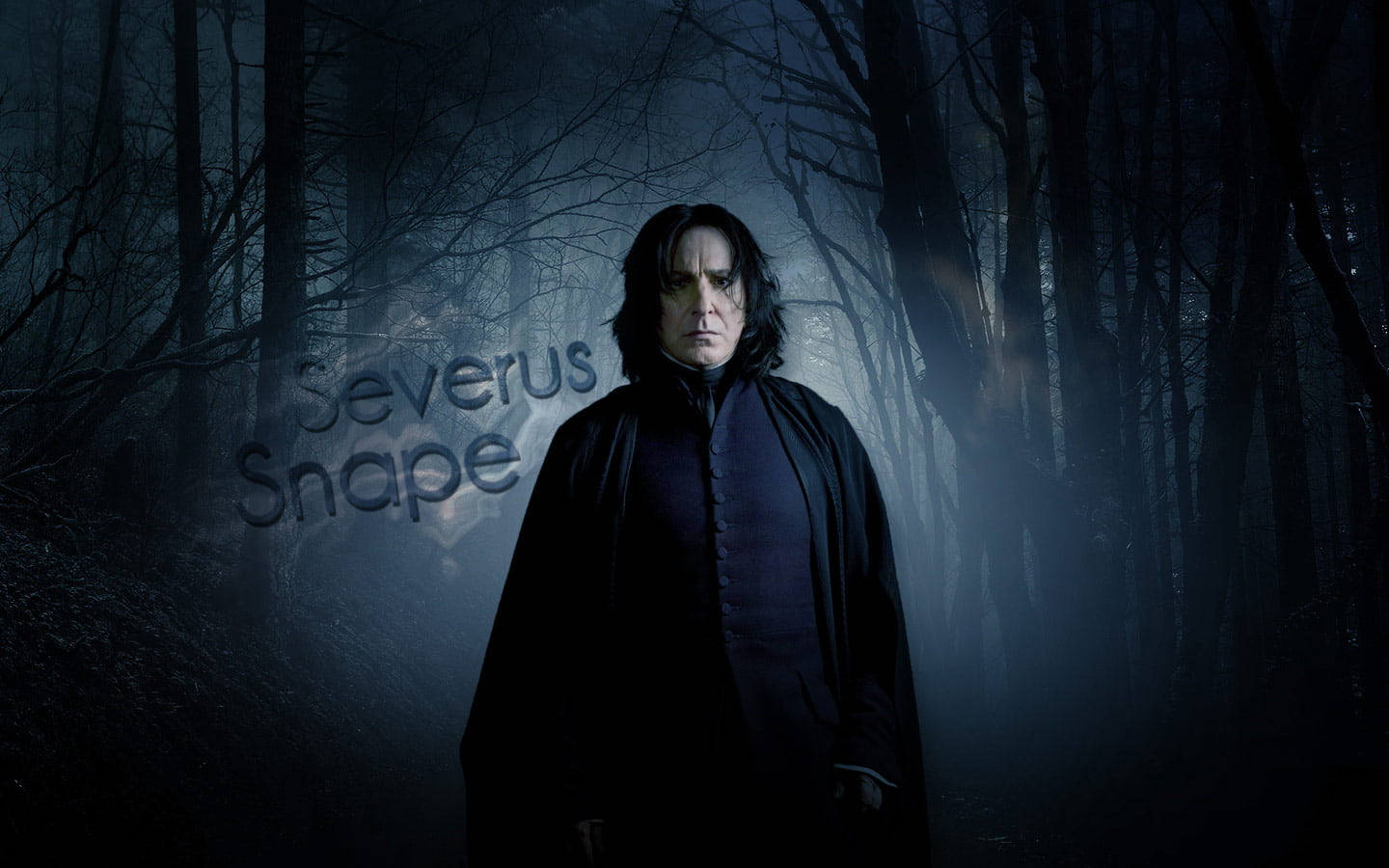 Severus Snape, dark forest, misty, HD Desktop Wallpaper