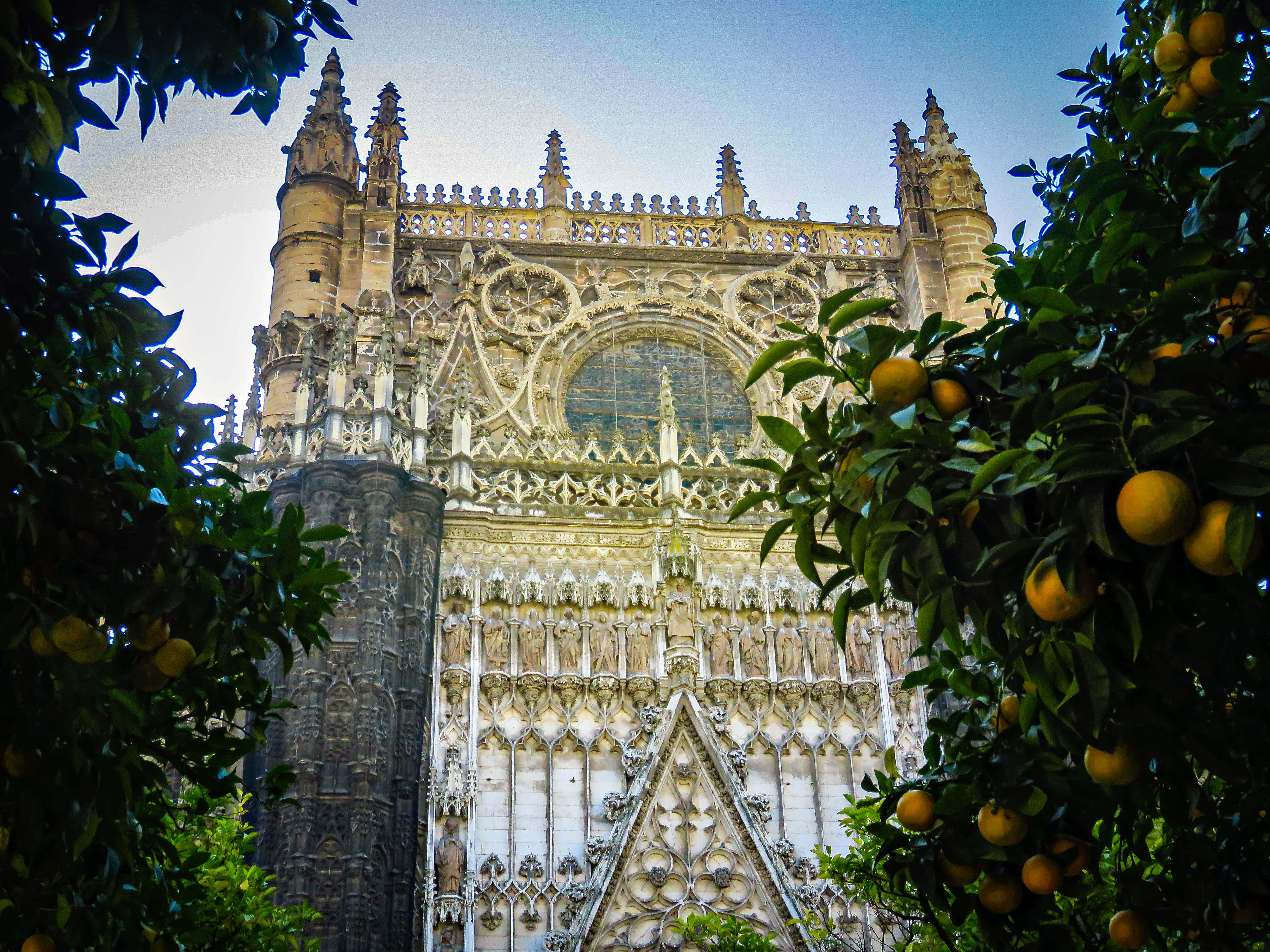 Seville Cathedral, orange trees, Gothic cathedral facade, 4K Desktop Wallpaper