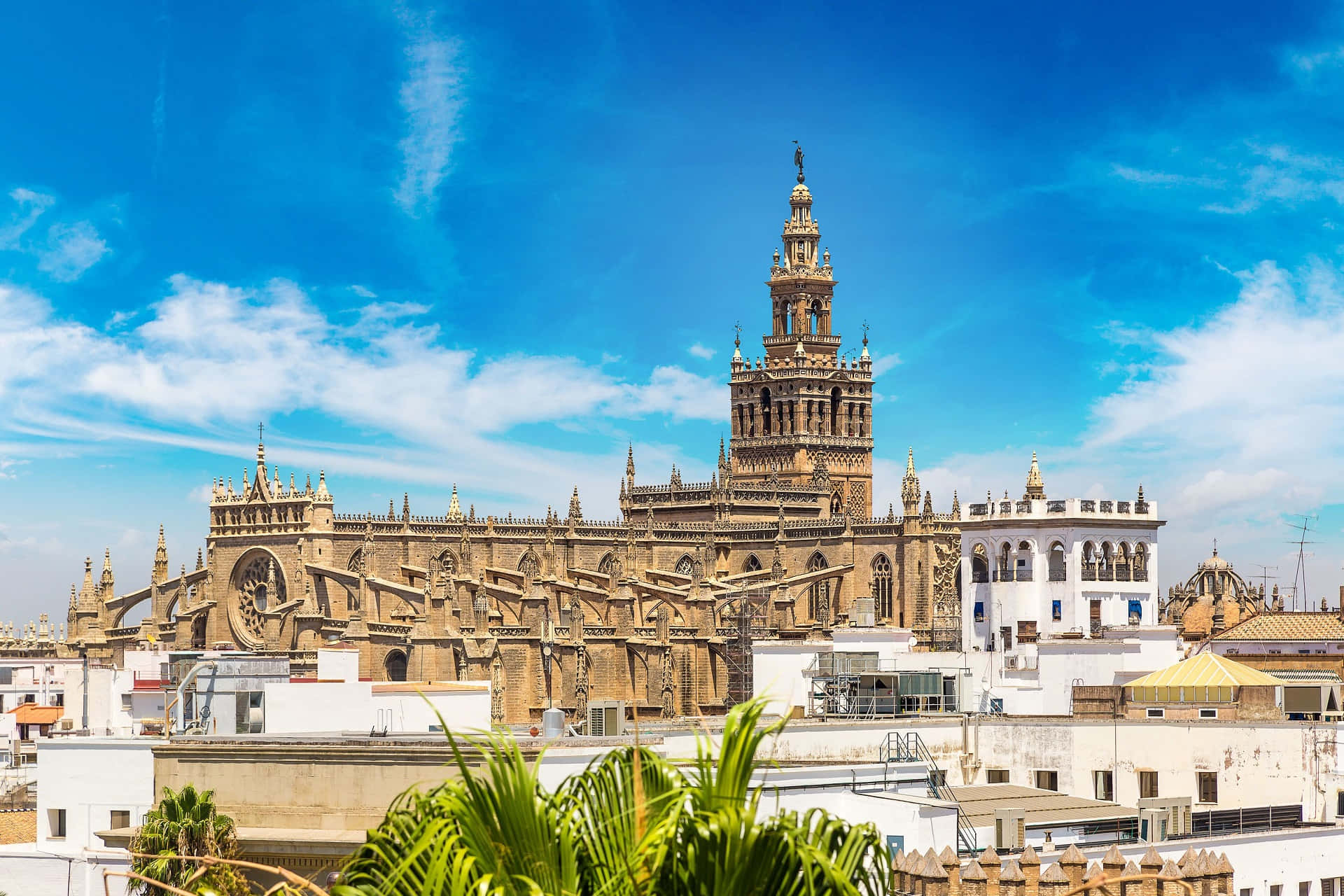 Seville Cathedral, white rooftops, vibrant blue sky, Full HD Desktop Wallpaper