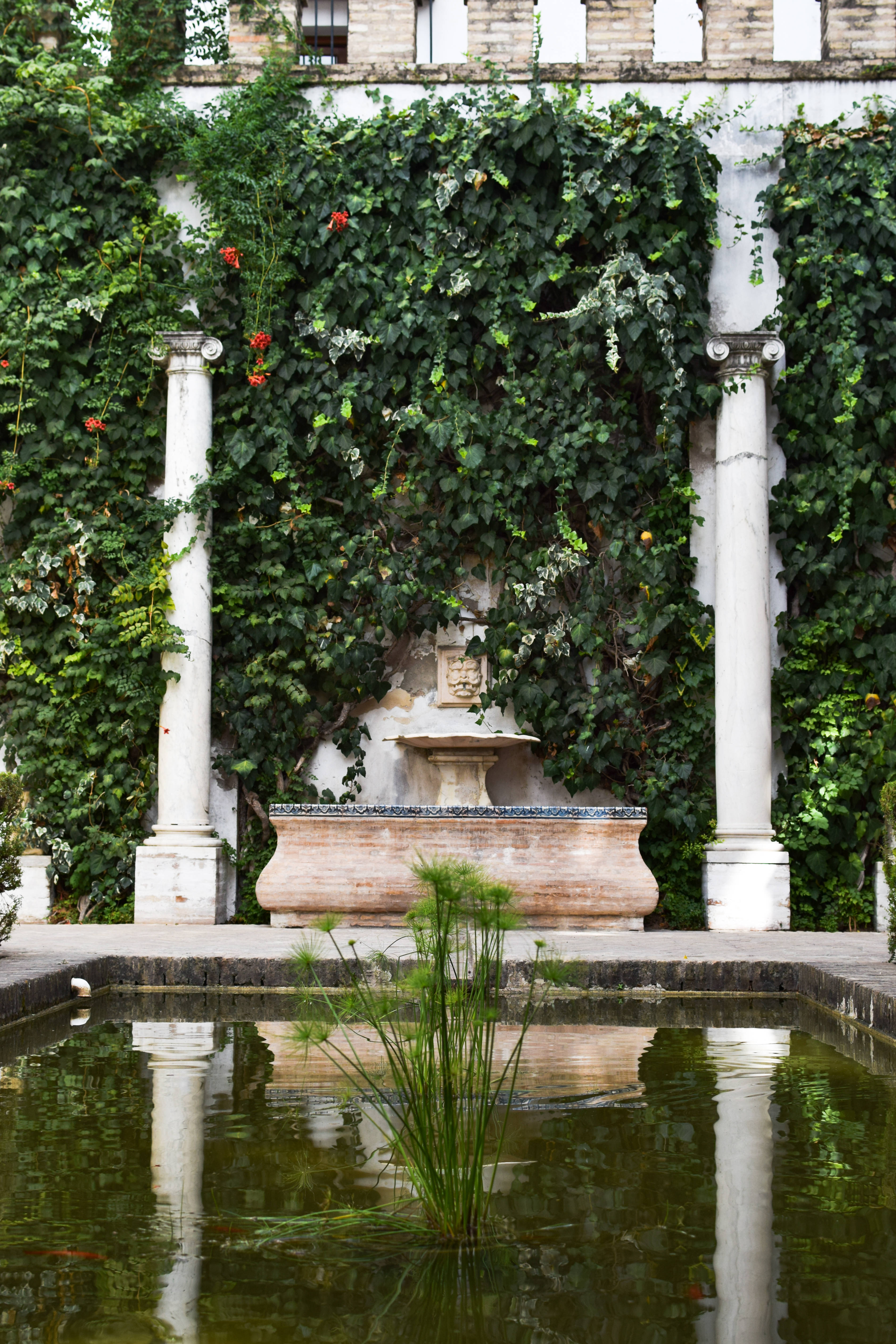 Seville, man made pond, ivy-covered columns, 5K Phone Wallpaper