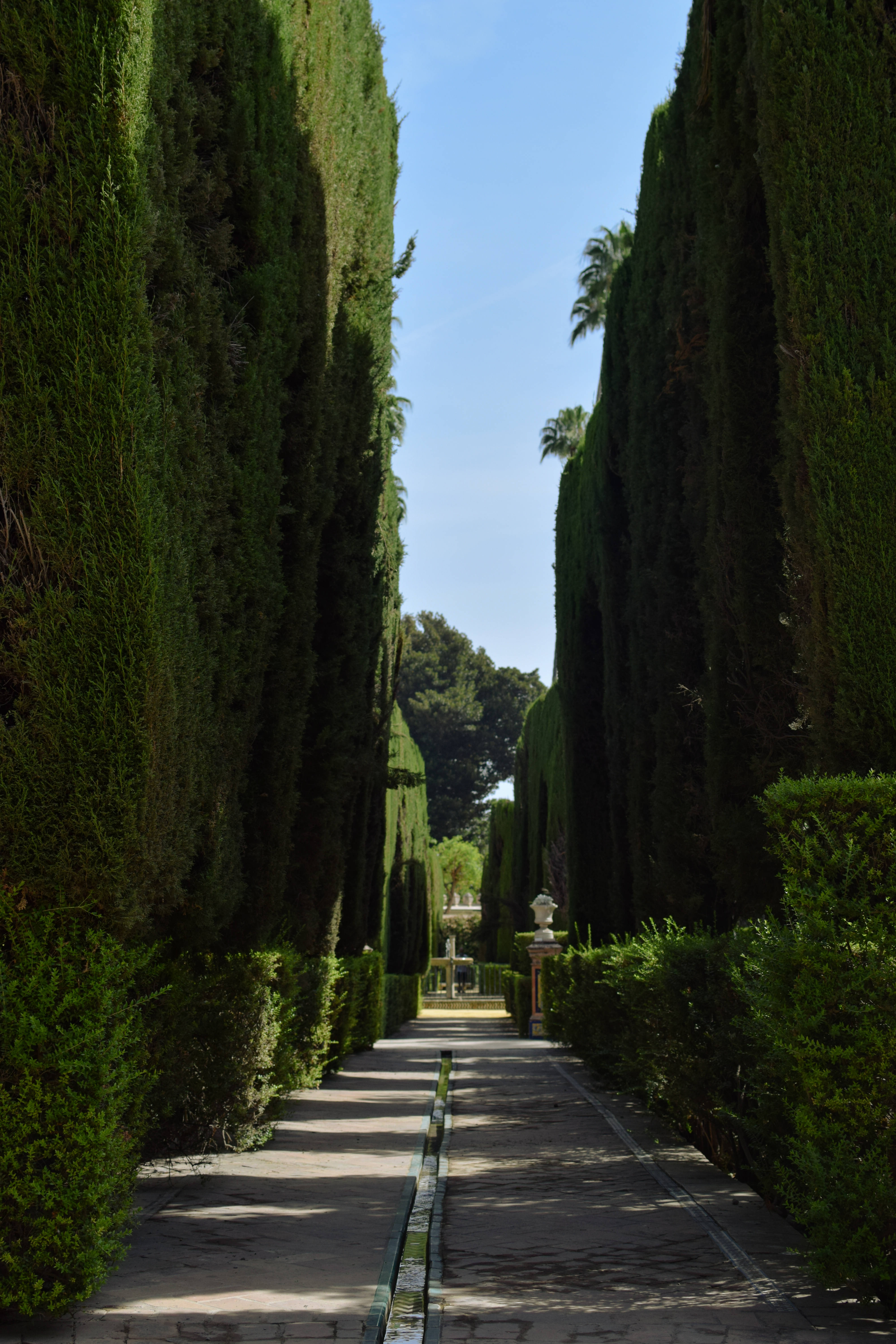 Seville, stone pathway, towering green hedges, 5K Phone Wallpaper